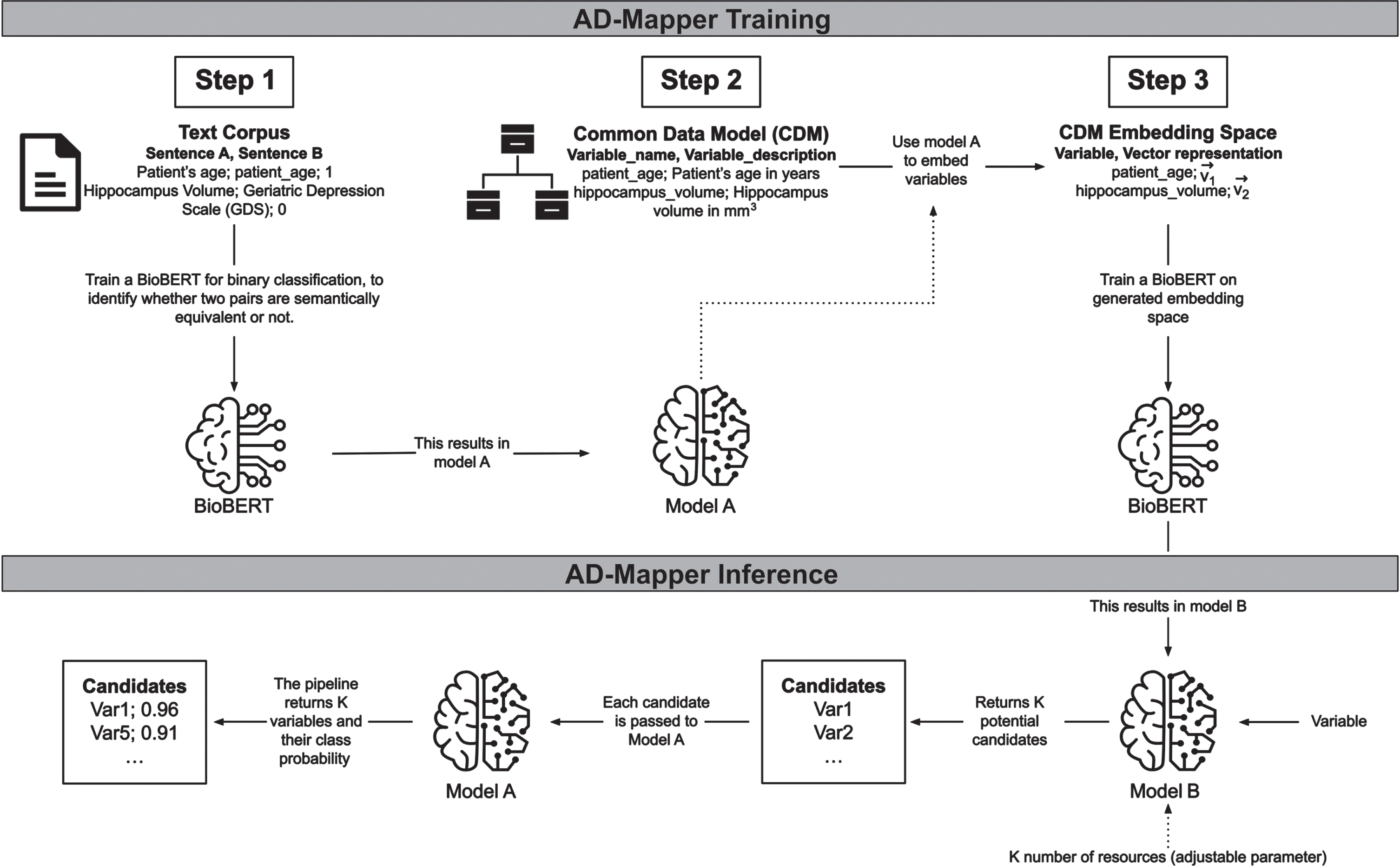 The underlying workflow of the AD-Mapper tool. Training the AD-Mapper consists of three steps: training BioBERT (i.e., Model A) on a text corpus, retrieving the names and descriptions from the CDM, and generating the embeddings. Then, the inference step comprises using Model B and A to generate a ranking of potential candidates and calculating the probabilities of positive mappings, respectively.