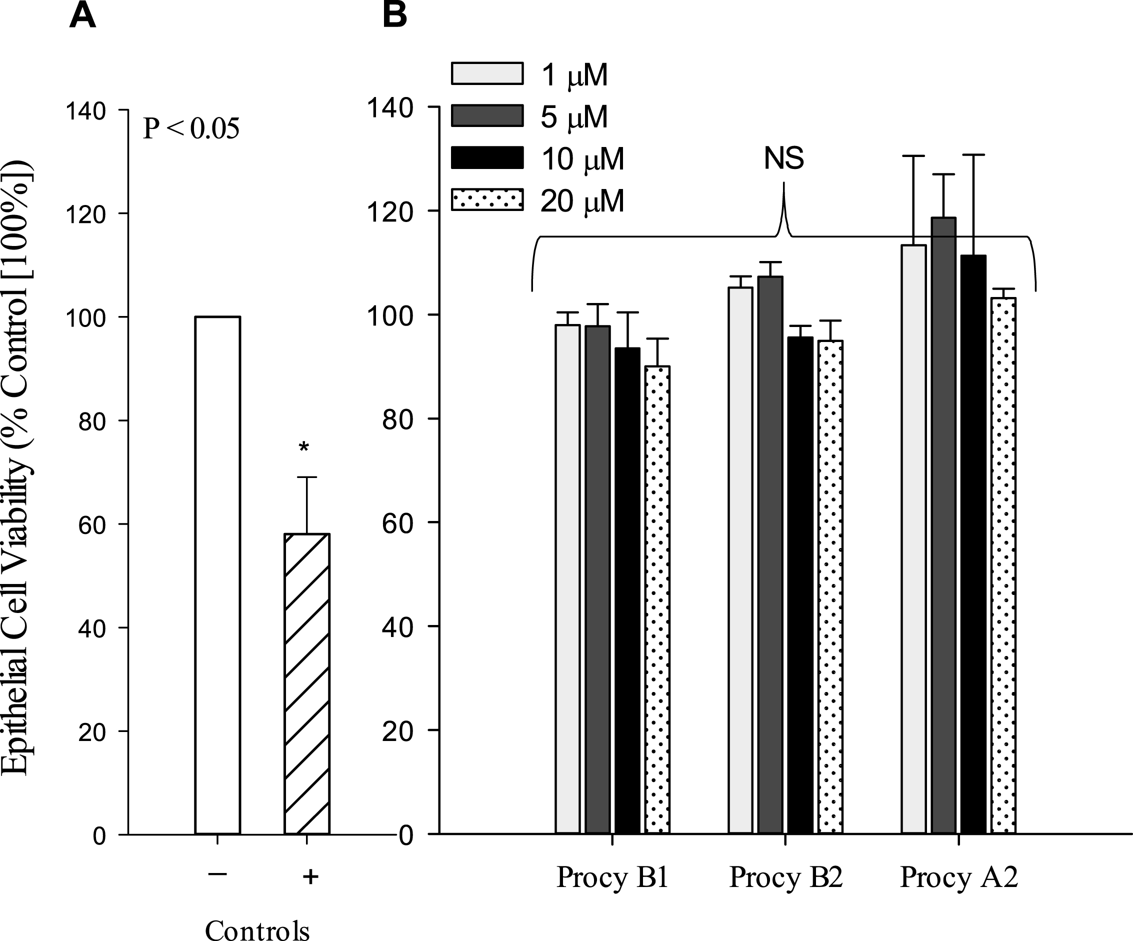 Effect of procyanidins on viability using a WST-1 Assay. A549 cells were incubated with A) negative (–) control media, or positive (+) control 2.5 mM H2O2 or B) procyanidin (Procy) B1, B2, or A2 for 6 h at 1 μM (light grey), 5 μM (grey), 10 μM (black), and 20 μM (speckled), washed with PBS and then assayed with WST-1 reagent for cellular viability. Results are expressed as means ± SEM as a percentage of the negative control [100%], n = 3 separate experiments. NS = not statistically significant.