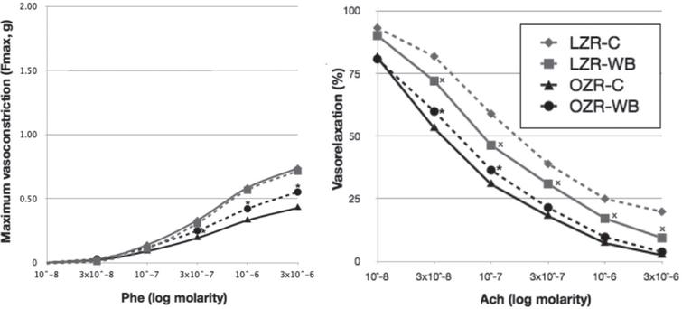 Phenylephrine (Phe) and acetylcholine (Ach) concentration-response curves in lean (LZR) and obese (OZR) Zucker rats following a control (C) or a wild blueberry (WB) diet. Values are means ± SEM. *, significant effects of diet (P < 0.05).