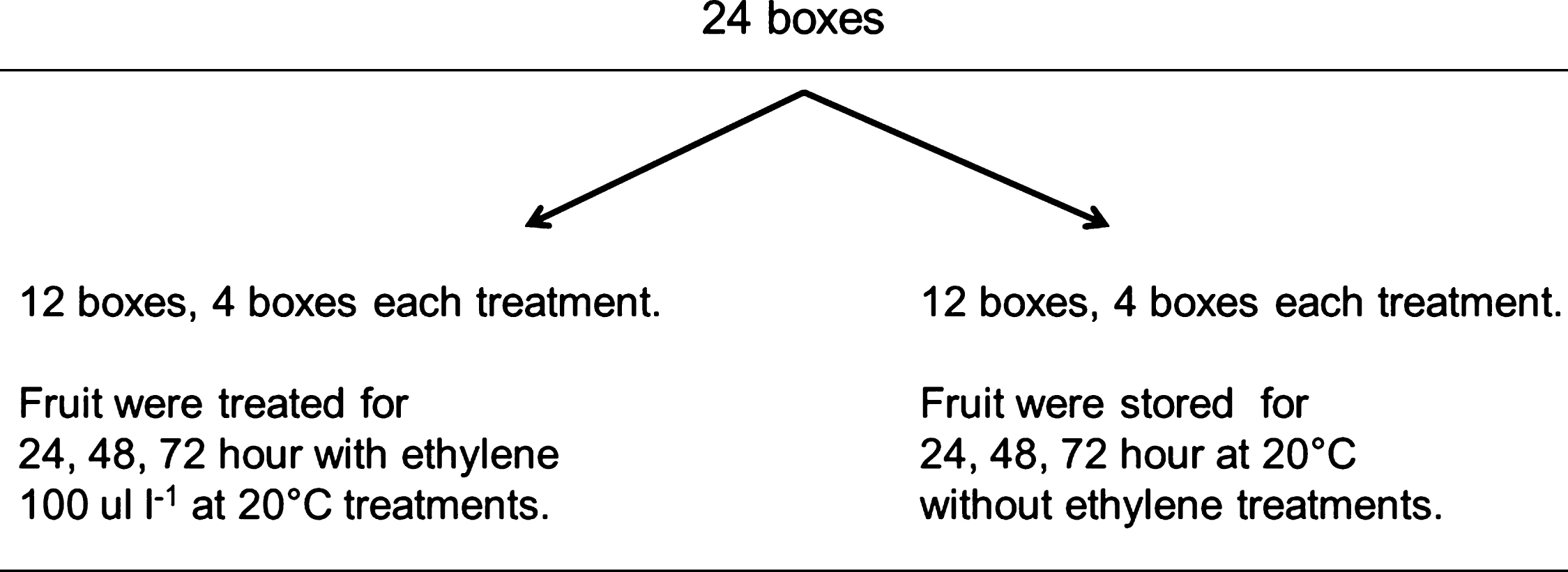 Amount of boxes required to investigate the effect of ethylene on the ripening capacity of fruit treated with 1-MCP (1 ul l–1) at harvest and stored in controlled atmosphere (CA), a total of 24 kiwifruit boxes were packed after 108 days storage in CA (2% O2 and 5% CO2), four boxes were treated for 24, 48 and 72 h with ethylene 100 ul l–1 and 15 fruit each were evaluated after at 0, 3, 7, 10, 14 and 17 d at 20°C. A similar amount of fruit was used as control without the application of ethylene at 20°C.