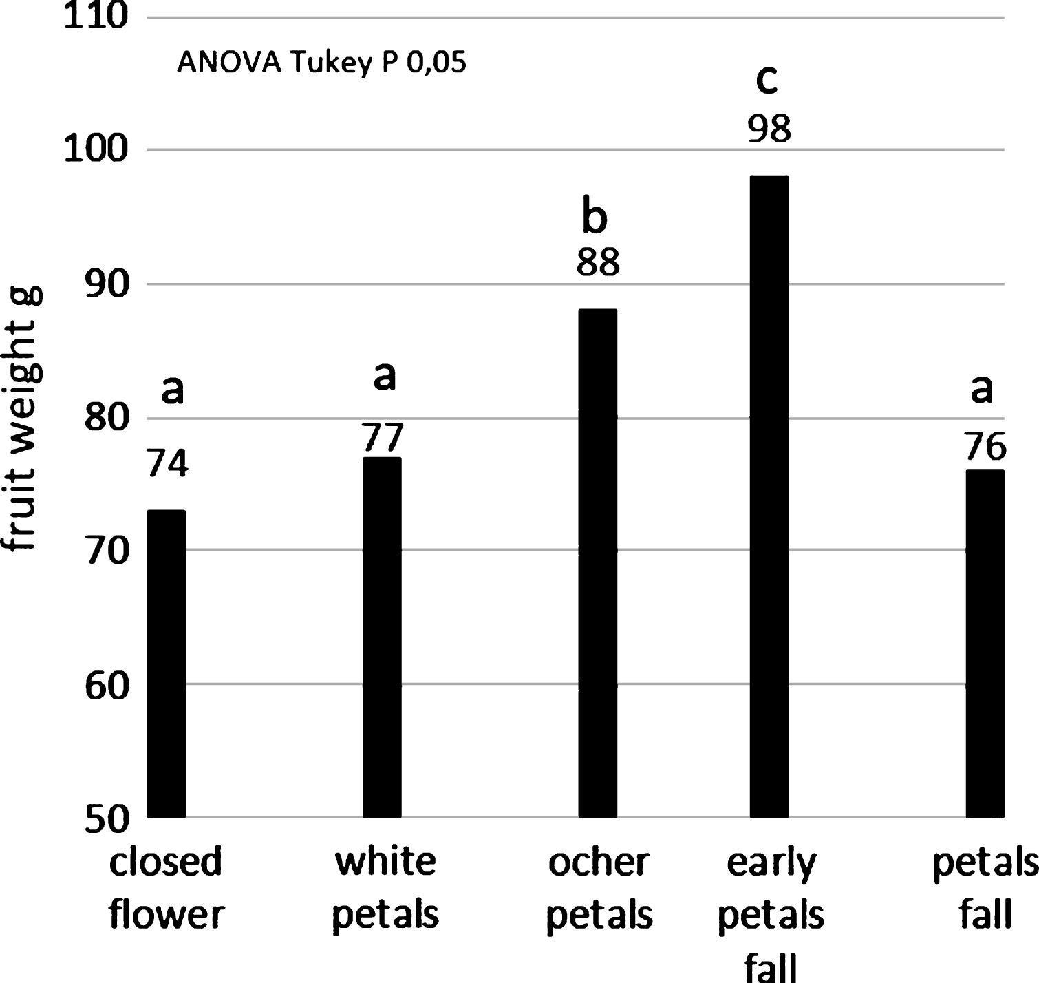 Average weights of the fruit pollinated by liquid pollination system, clustered according their flowering stage during pollination.