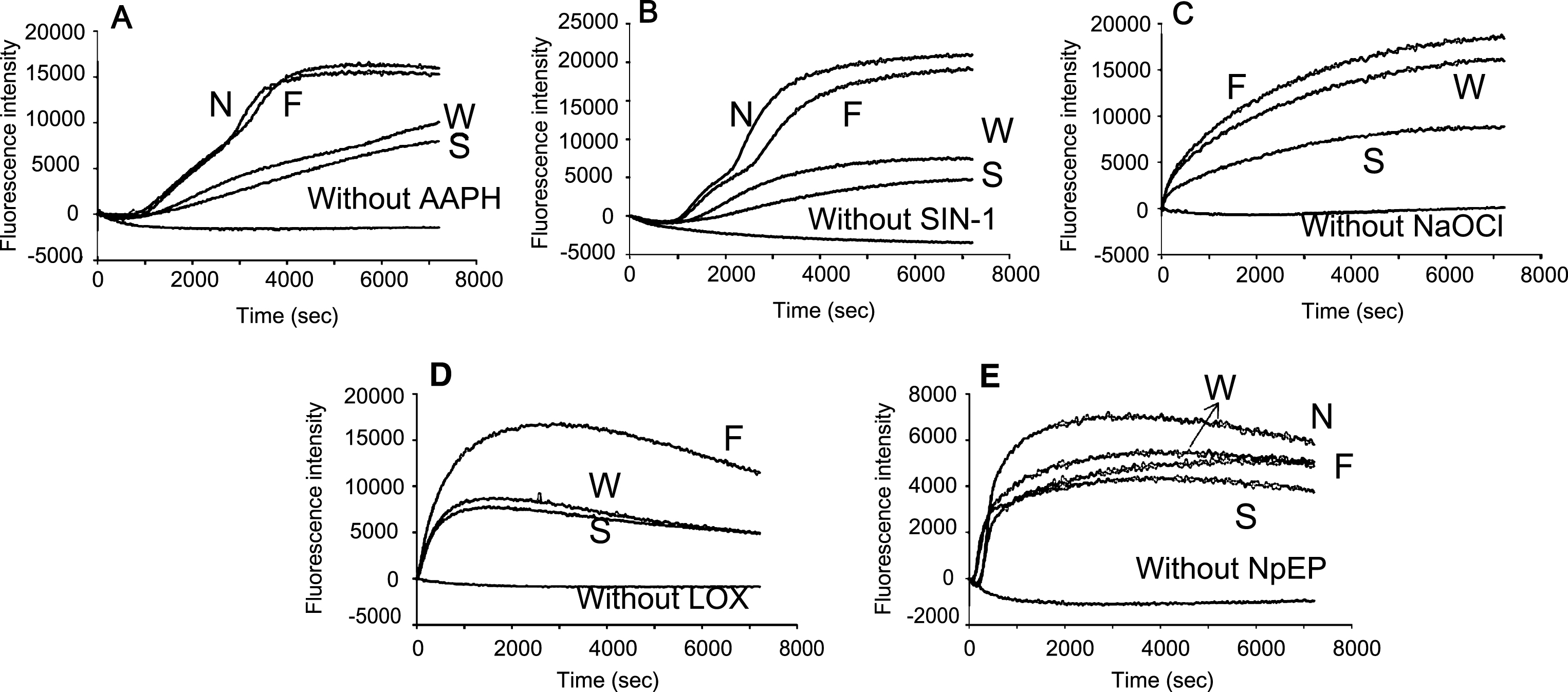 Inhibitory effects of blueberry extracts with water on the plasma oxidation (10%) induced by (A) AAPH (50 mM), (B) SIN-1 (0.5 mM), (C) NaOCl (0.5 mM), (D) 15-LOX (10000 nkat/mL), and (E) NpEP (5 mM). N: without extract; W, F, and S: Whole, fruit, and skin of blueberry respectively.