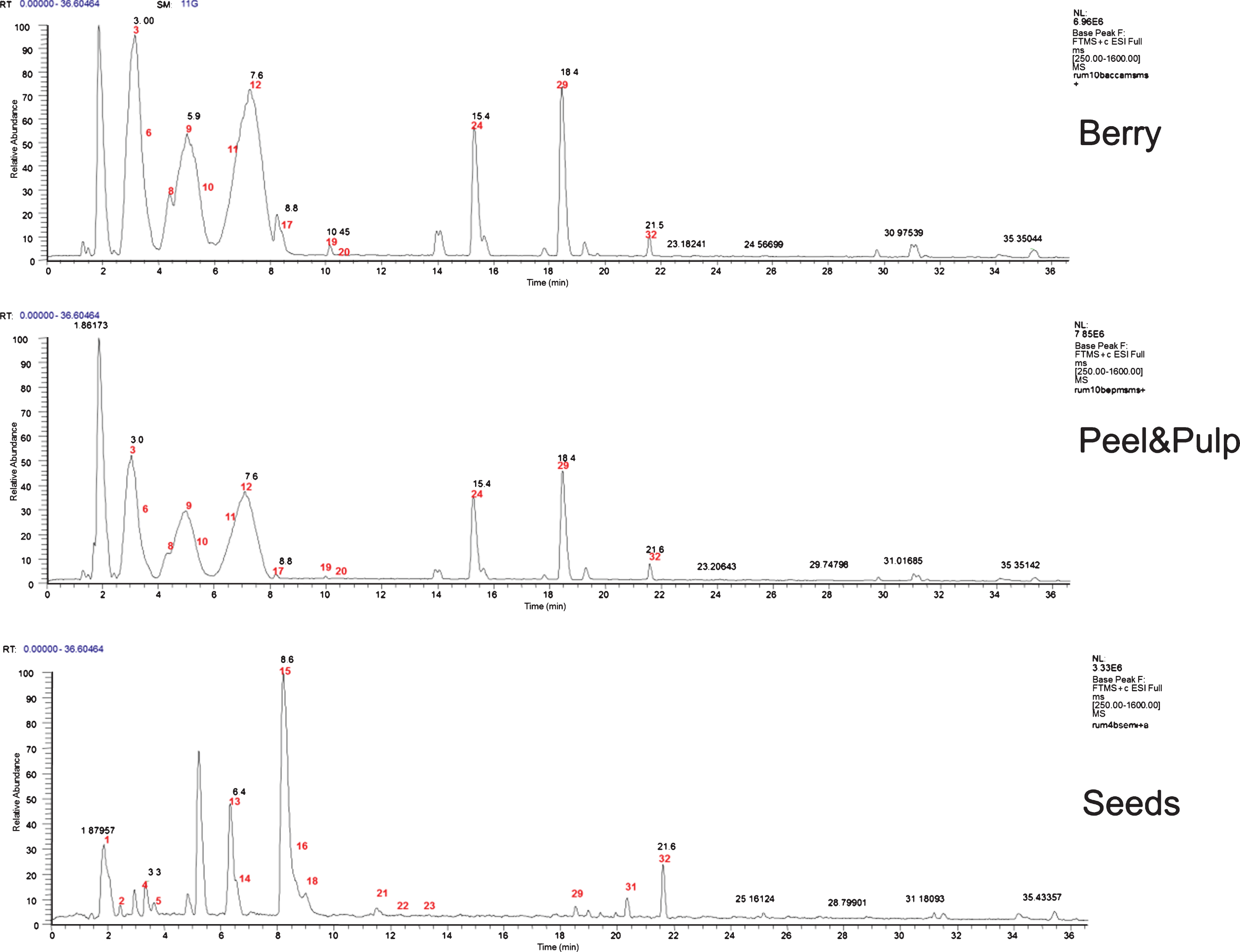 Base peak chromatograms in positive ion mode of whole berry, Peel & pulp and seeds of Myrtus communis methanol extracts.