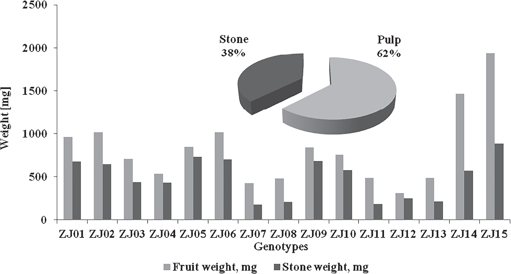 Comparison of weight of fruit and weight of stones in tested jujube genotypes.