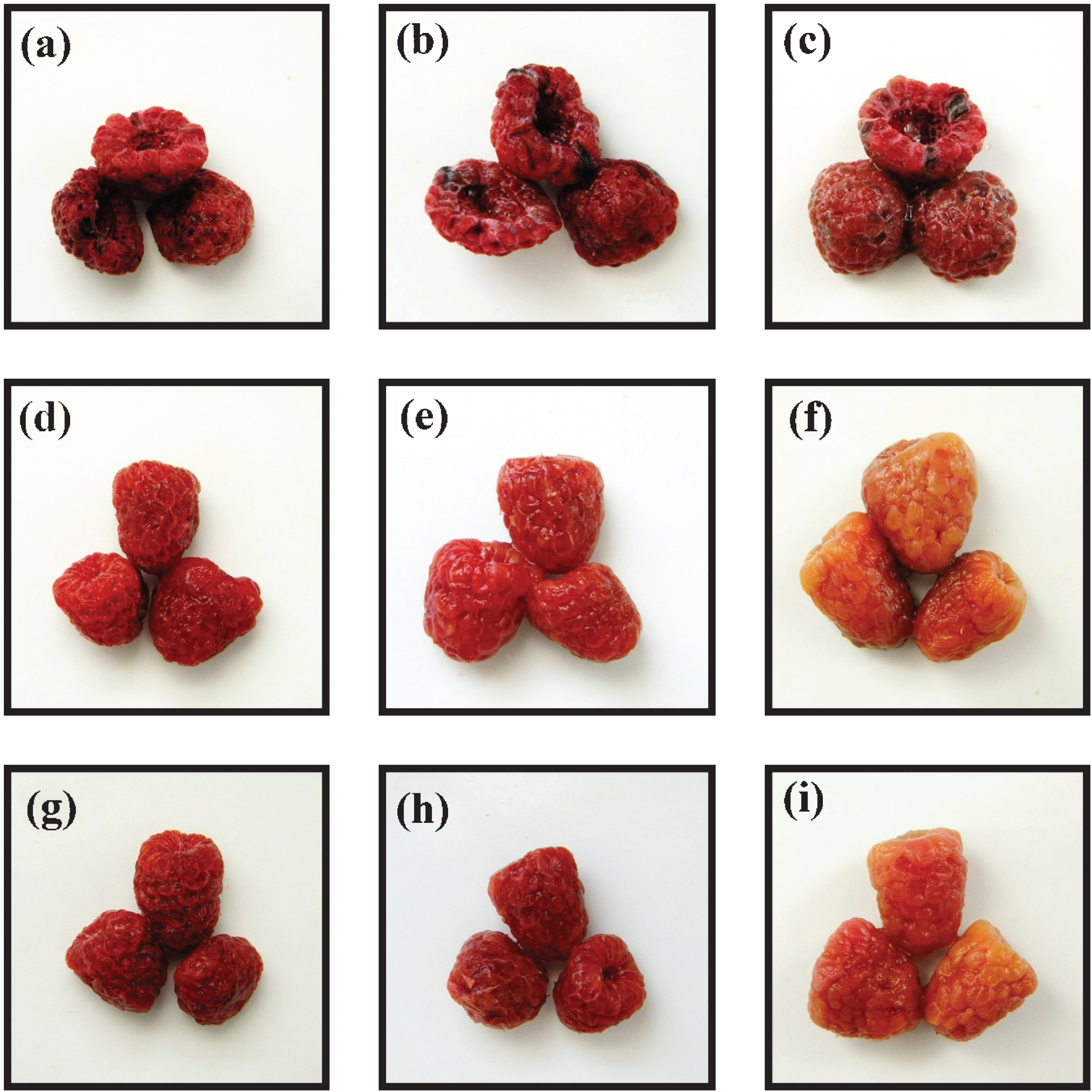 Images obtained after rehydration at 25°C of air-dried raspberries at different values of rehydration time. Control (C): 5 min (a), 20 min (b) and final (c). Wet infusion (WI-BAC): 5 min (d), 20 min (e) and final (f). Dry infusion (DI-BAC): 5 min (g), 20 min (h) and final (i).