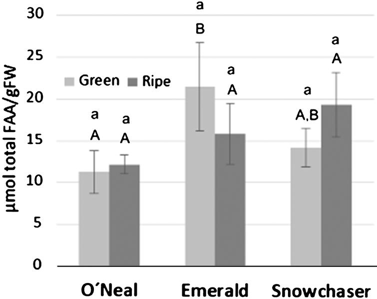 Total free amino acid (FAA) content at the green and ripe stages for each variety. Quantification data are presented as means±standard deviation of three biological replicates. Lower case letters indicate statistically significant differences between ripening stage in a variety. Significant differences between varieties are represented by capital letters at green stage, and bold capital letters at ripe stage. Data was tested using ANOVA and t-Student test. All pairwise multiple comparisons were performed by the Bonferroni and Holm-Sidak method using the Sigma Stat Package (p < 0.05).