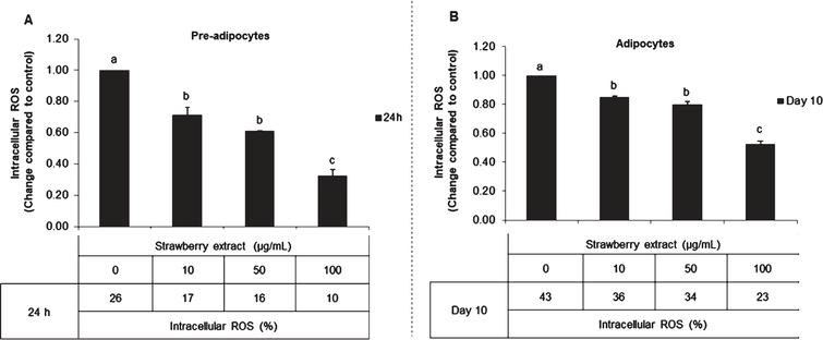 Effects of strawberry extract on intracellular ROS production in 3T3-L1 cells as quantified by the Tali® Image-Based Cytometer. 3T3-L1 pre-adipocytes were incubated with the indicated concentrations of strawberry extract for 24 h (A) or induced to differentiate into mature adipocytes in the presence or absence of the strawberry extract as described above (B). The concentration of 0μg/mL corresponds to the control (untreated cells). Values are expressed as mean±SD of three independent experiments (n = 3). Different superscript letters for the same set of data indicate significant differences (p < 0.05).