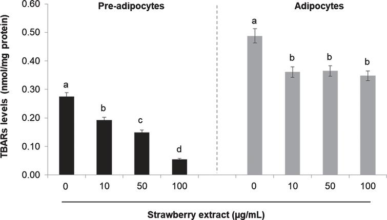 Effects of strawberry extract on lipid peroxidation in 3T3-L1 cells as measured by the TBARs Assay. 3T3-L1 pre-adipocytes were incubated with the indicated concentrations of strawberry extract for 24 h or induced to differentiate into mature adipocytes in the presence or absence of the strawberry extract as described above. The concentration of 0μg/mL corresponds to the control (untreated cells). Values are expressed as mean±SD of three independent experiments (n = 3). Different superscript letters for the same set of data indicate significant differences (p < 0.05).