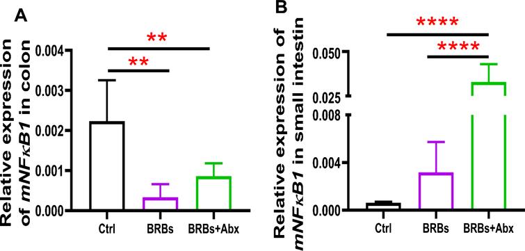 mRNA expression levels of NF-κ B1 in colon (A) and small intestine (B) of ApcMin/+ mice. Ctrl: control diet; Abx: antibiotics. ** p < 0.01; **** p < 0.0001.