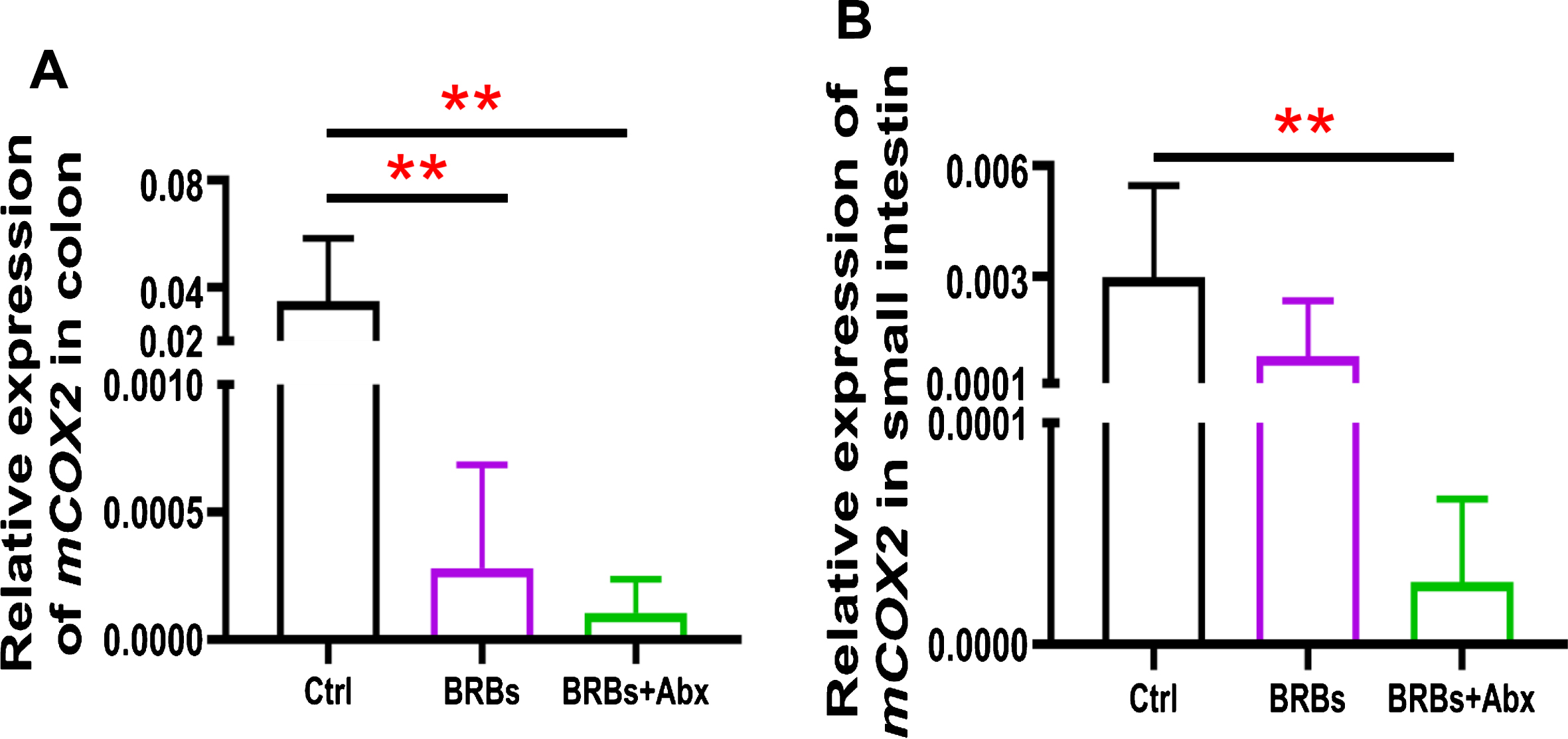 mRNA expression levels of COX2 in colon (A) and small intestine (B) of ApcMin/+ mice. Ctrl: control diet; Abx: antibiotics. ** p < 0.01.