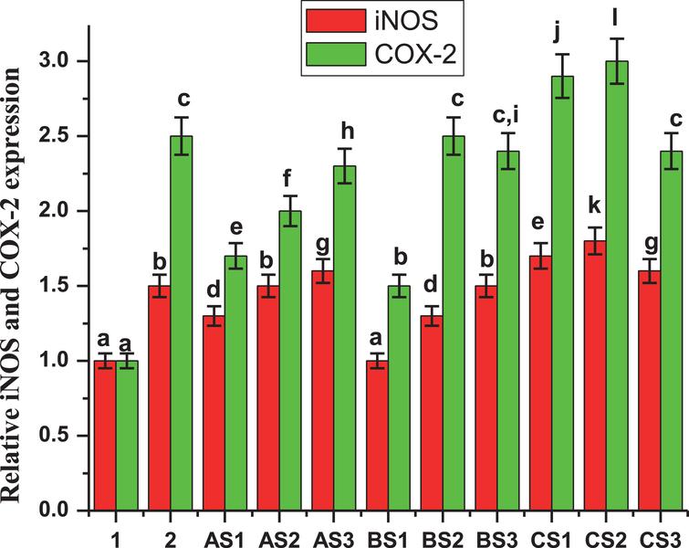 iNOS / COX 2 inhibition. Effects of 10.0 μg/mL of extracts from three varieties of Maqui berry Aristotelia chilensis on iNOS and COX-2 protein expression in LPS-stimulated RAW 264.7 macrophages. 1: control. 2: LPS. Explanation of the extracts (AS1, AS2, AS3, BS1, BS2, BS3, CS1, CS2 and CS3) and partitions, see Fig. 1. The results of extract D (residues) were not graphed because of their very low effects. Values are the mean±SE of three replicates (n = 3); different letters show significant differences treatments in comparison to control at P < 0.01, using the Tukey test.