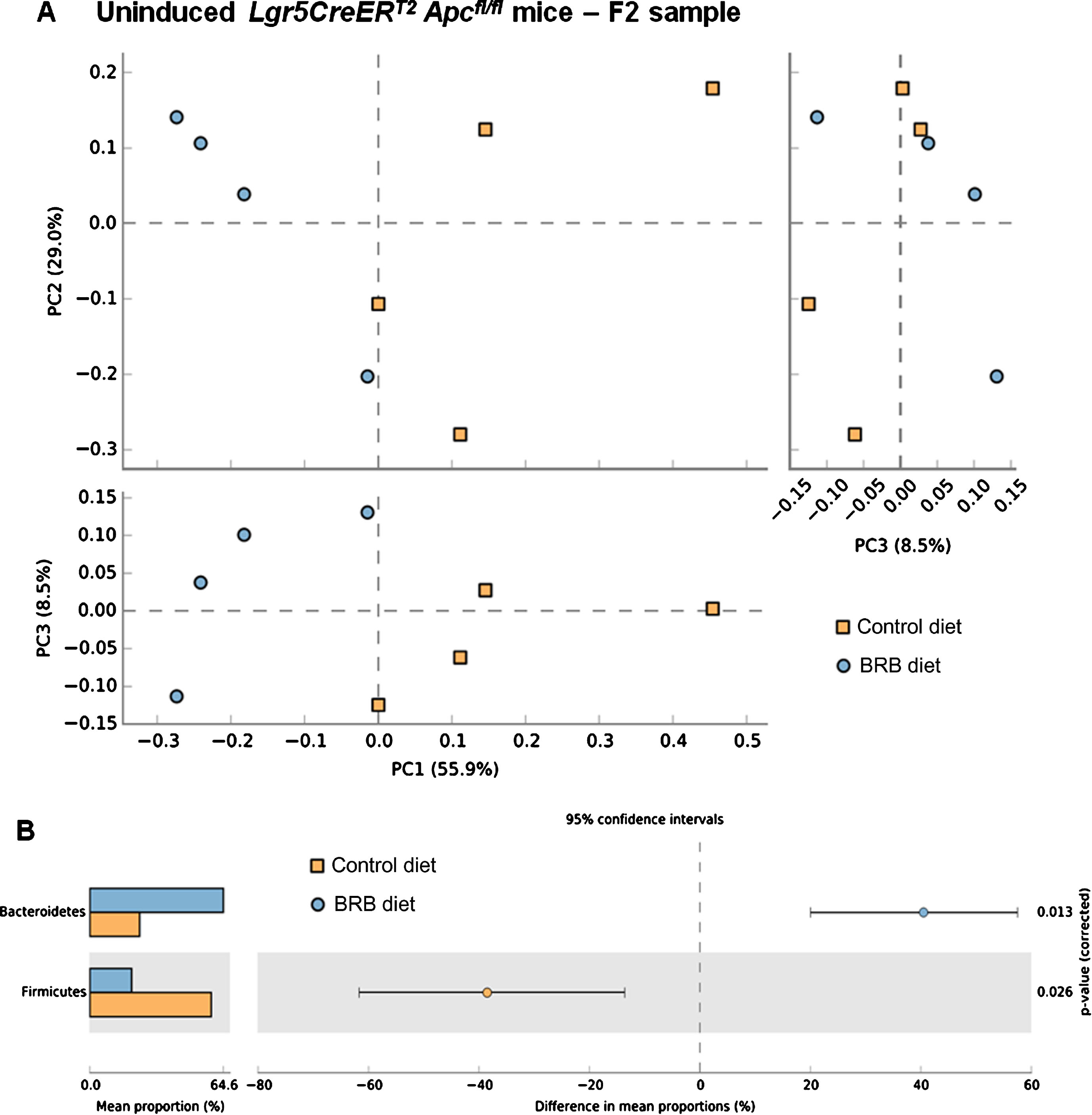 Consumption of a BRB diet alters microbial composition in the uninduced Lgr5CreERT2 Apcfl/flintestine. A) Comparison of faecal samples taken at the F2 (; AIN-76A control diet) and F2 (; BRB diet) sampling point from the uninduced Lgr5CreERT2 Apcfl/fl cohort. A PCA plot of the communities, based on the genera in each sample, indicates separation of the two groups when PC1 vs PC2 and PC1 vs PC3 are plotted, this result was supported by a PERMANOVA analysis in R. B) Pre-FDR analysis highlights 2 week feeding of BRBs resulted in an increased abundance of Bacteroidetes and reduced Firmicutes compared to control fed mice however, when an FDR is applied no one genus was shown to alter due to the feeding intervention, but the whole community shifted its composition in response to the BRB diet. N = 4 mice per cohort, error bars represent 95% confidence intervals using the DP:bootstrap method (DP = difference between mean proportions).