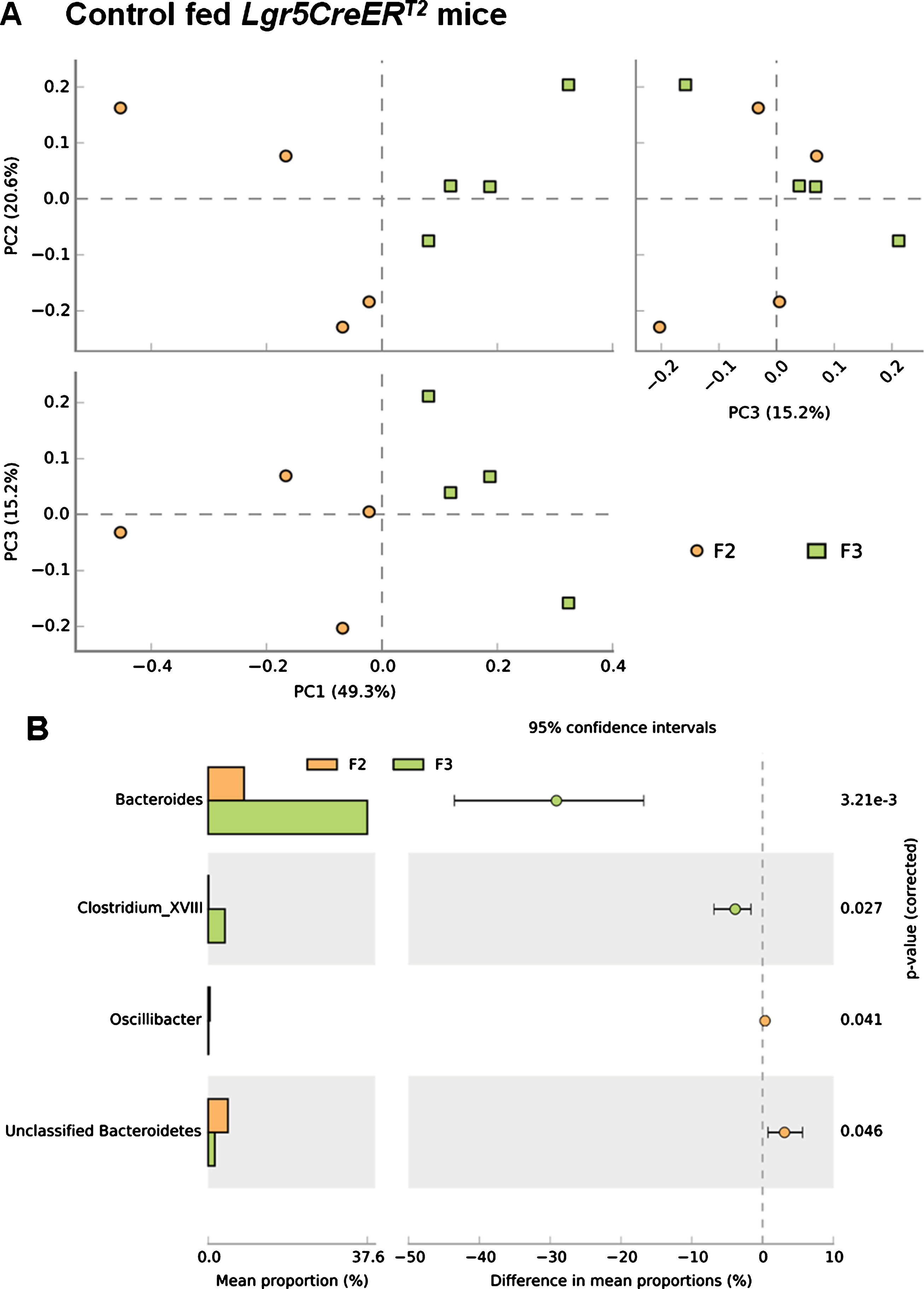 Loss of Apc from the ISC alters the microbial composition of the Lgr5CreERT2 Apcfl/fl intestine. (A) A PCA plot comparing faecal communities of control diet fed Lgr5CreERT2 Apcfl/fl mice before (; F2) and 20 days following Apc ISC deletion (; F3) demonstrates a clear separation of the two groups when PC1 vs PC2 and PC1 vs PC3 are plotted, further supported by PERMANOVA analysis in R. (B) Classification of sequences by taxonomy at the class levels indicates trends to support the changes in overall community structure but application of a FDR indicates the changes are not significant at the genus level. P values are pre-FDR corrected, error bars represent 95% confidence intervals using the DP:bootstrap method. N = 4 mice fed control diet per faecal sampling time point, note this is longitudinal faecal sampling from the same mice at different time points.