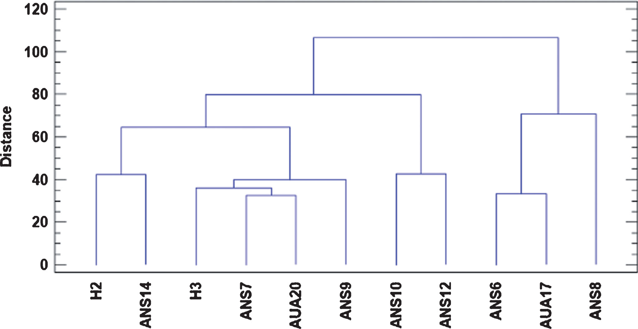 Dendrogram of the selected genotypes showing their genetic relationship through Euclidean distance, based on phenotypic characteristics, rooting performance of their cuttings, organoleptic and physiological parameters and phytochemical content of their fruits.