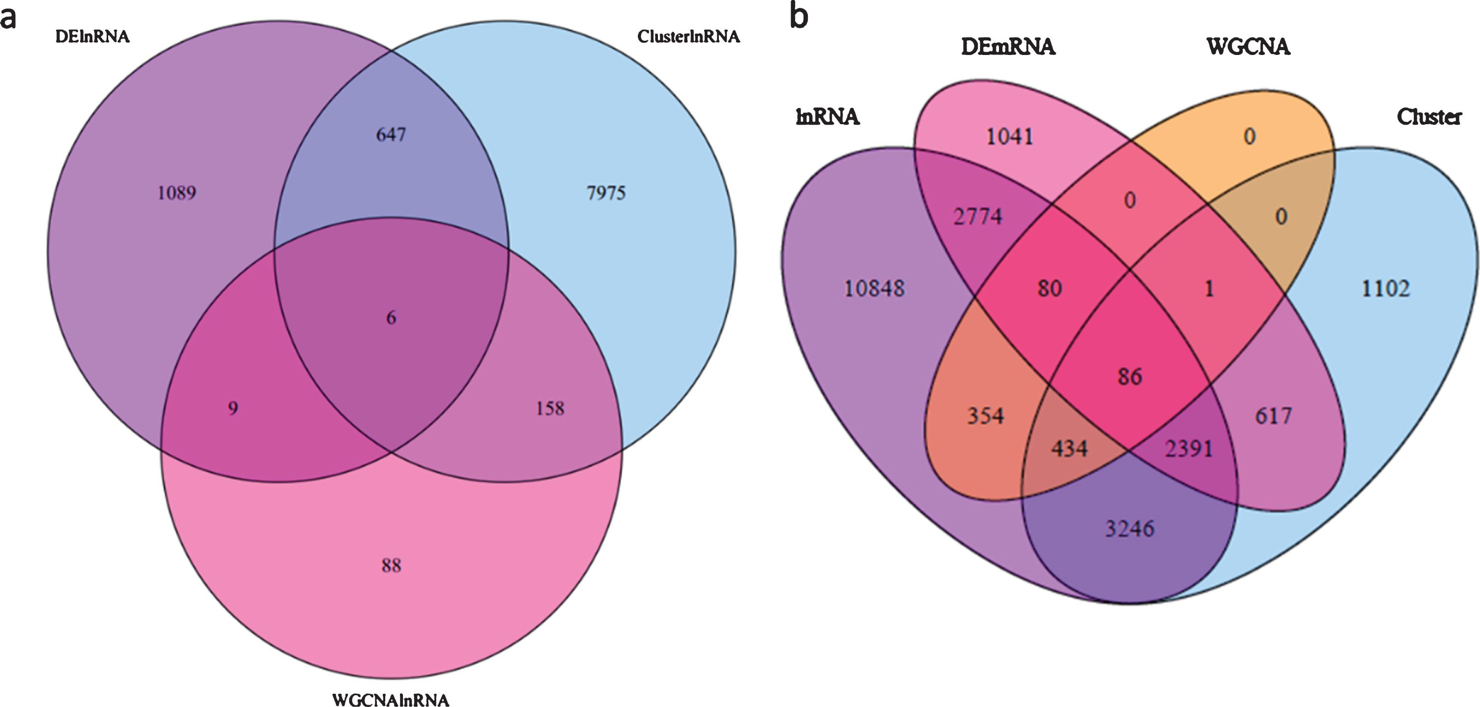 Venn diagram showing the lncRNAs and mRNAs in this study among different analyses. a, lncRNAs among differential expression analysis, TCseq cluster analysis and WGCNA analysis; b, mRNAs between DE-mRNAs and targets of lncRNAs from DE-lncRNA, TCseq cluster analysis and WGCNA analysis.