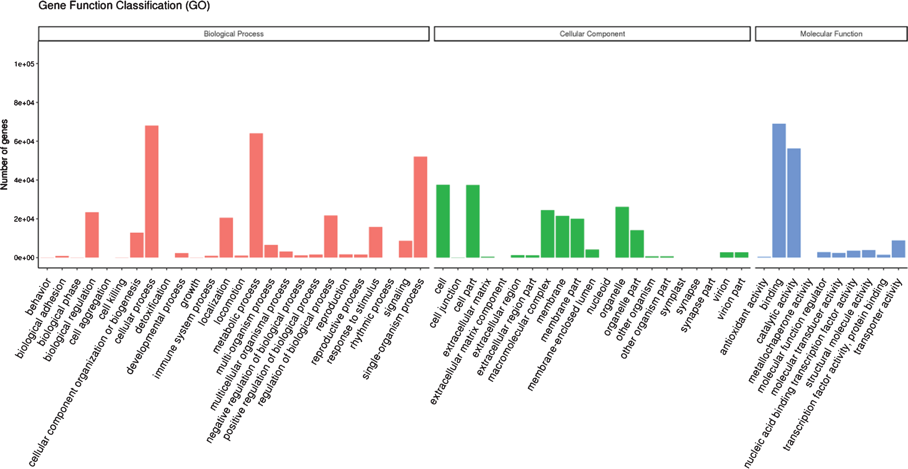 Gene ontology terms assigned for functionally annotated genes of red raspberry fruit.