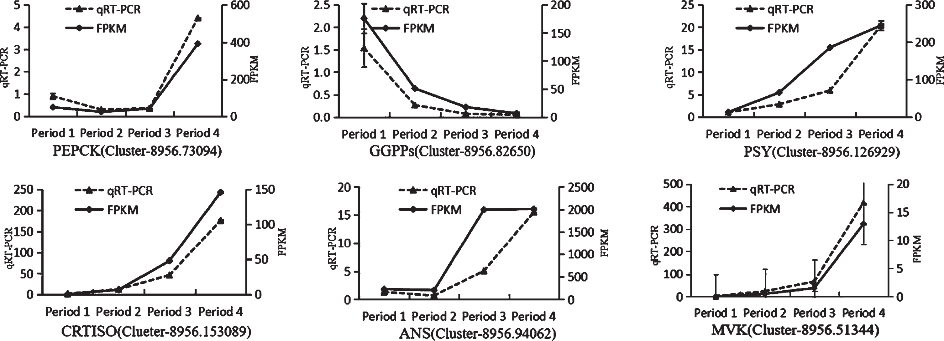 Quantitative real-time polymerase chain reaction analysis of the expression of Secondary metabolism-related genes (Analyses were completed in triplicate, and the error bars represent the standard errors).