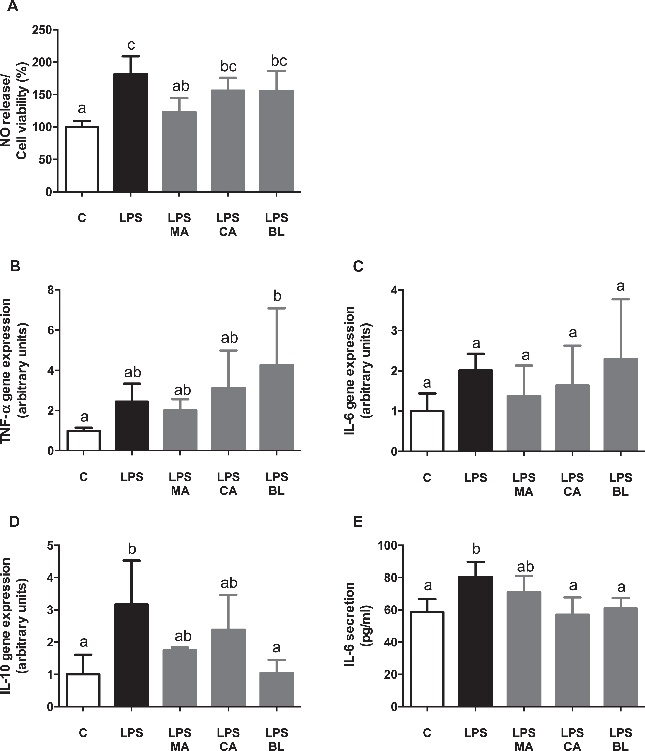 Anti-inflammatory effects of berries extract on in vitro LPS-activated human macrophages. THP-1 monocyte human cells were differentiated and then pre-treated with 100 μM total polyphenols of each extract for 2 hours. Finally, they were treated with 5 μg/mL LPS for 48 hours. Cells and culture media were saved for further determinations. (A) Nitric oxide (NO) release, (B) TNF-α gene expression, (C) IL-6 gene expression, (D) IL-10 gene expression, and (E) IL-6 release, were assayed. Data (n = 5–6) were expressed as mean±SD and analyzed with one-way ANOVA followed by Tukey posthoc tests. NO, nitric oxide; C, control; LPS, lipopolysaccharide; MA, Maqui; CA, Calafate; BL, Blueberry. Different letters showed a statistical significance of at least p < 0.05.