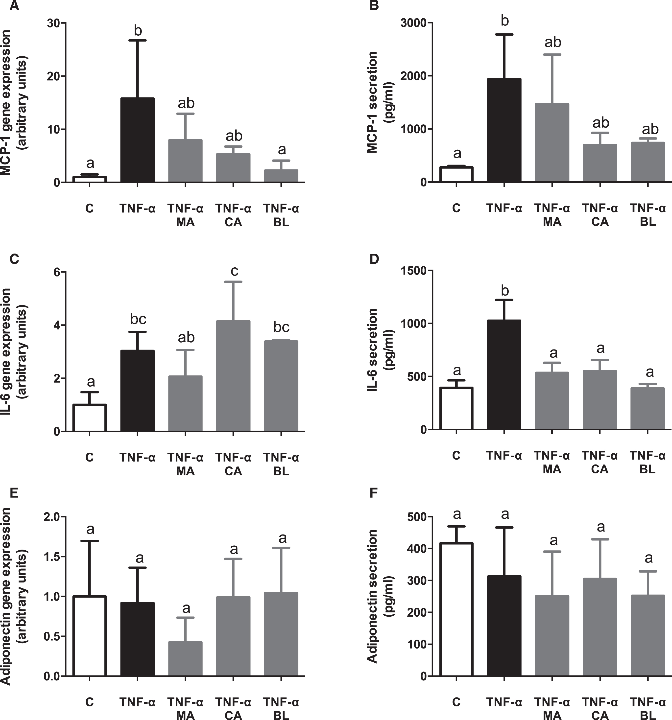 In vitro anti-inflammatory effects of berries extracts in TNF-α activated human adipocytes. Human visceral preadipocytes were differentiated, pre-treated with 100 μM total polyphenols from each extract for 1 hour, then primed 24 hours with 4 ng/mL of TNF-α. Cells and culture media were saved for further determinations. (A) MCP-1 gene expression, (B) and release, (C) IL-6 gene expression, (D) and release, (E) Adiponectin gene expression, (F) and release, were assayed. Data (n = 4) were expressed as mean±SD and analyzed with one-way ANOVA followed by Tukey posthoc tests. C, control; MA, Maqui; CA, Calafate; BL, Blueberry. Different letters showed a statistical significance of at least p < 0.05.
