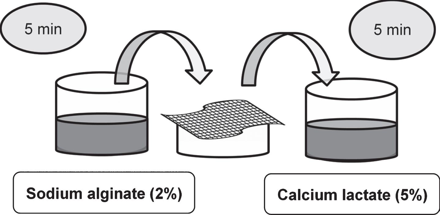 Schematic representation of the coating procedure to cover strawberry slices.