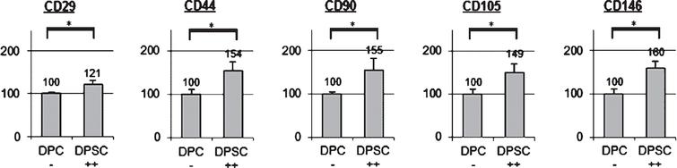 Expression of markers for mesenchymal stromal cells (CD29, CD44, CD90, CD105, and CD146) in STRO-1 positive sorted pulp cells of human wisdom teeth (DPSC ++). STRO-1  - dental pulp cells (DPC −) were used as control;  *indicates significant differences (p <  0.05); + +strong expression of the CD markers.