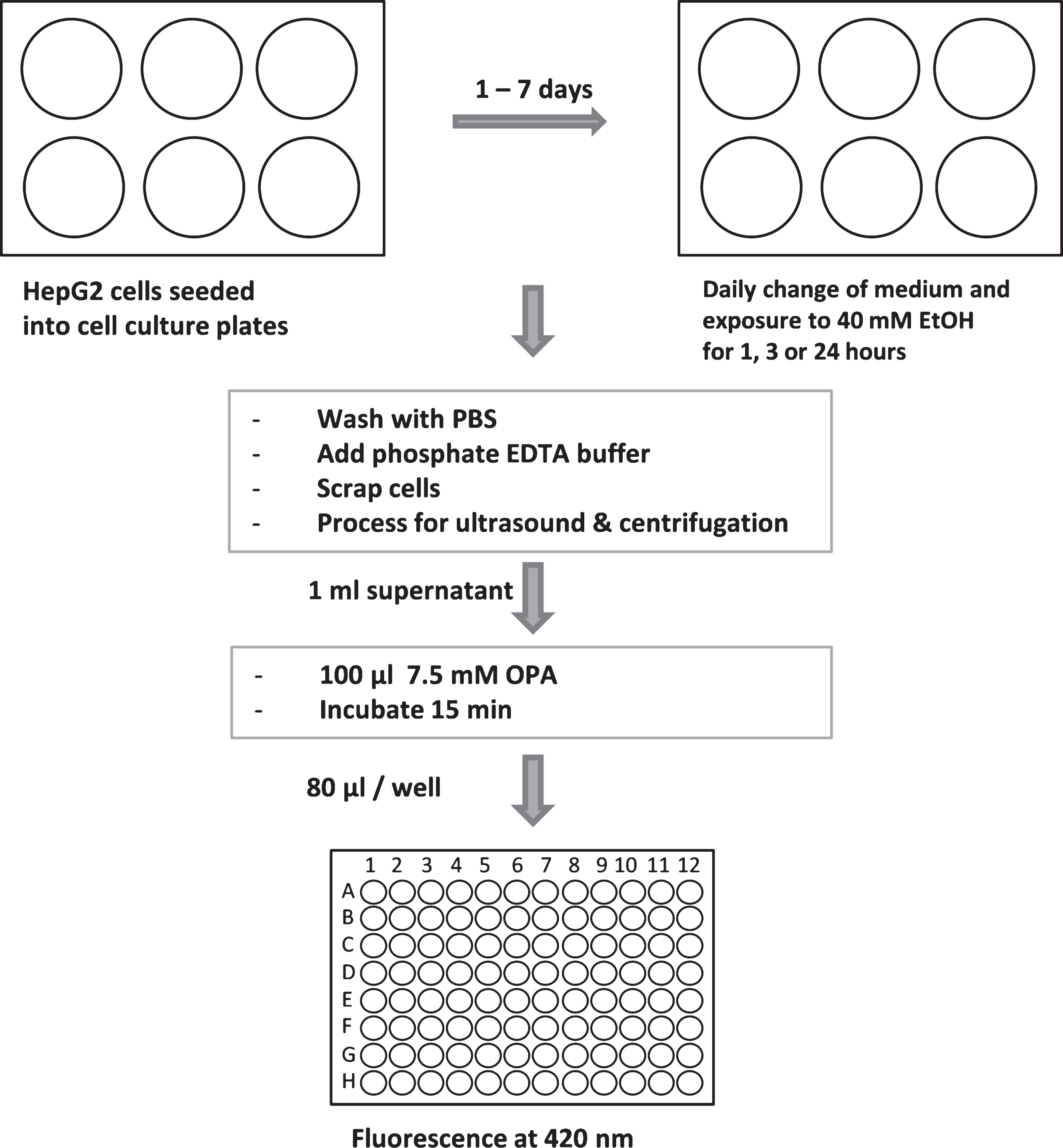 Workflow of GSH assay. For more details see text.