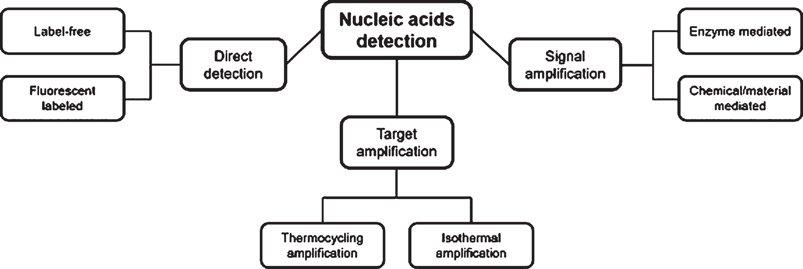 The strategies of nucleic acids detection.