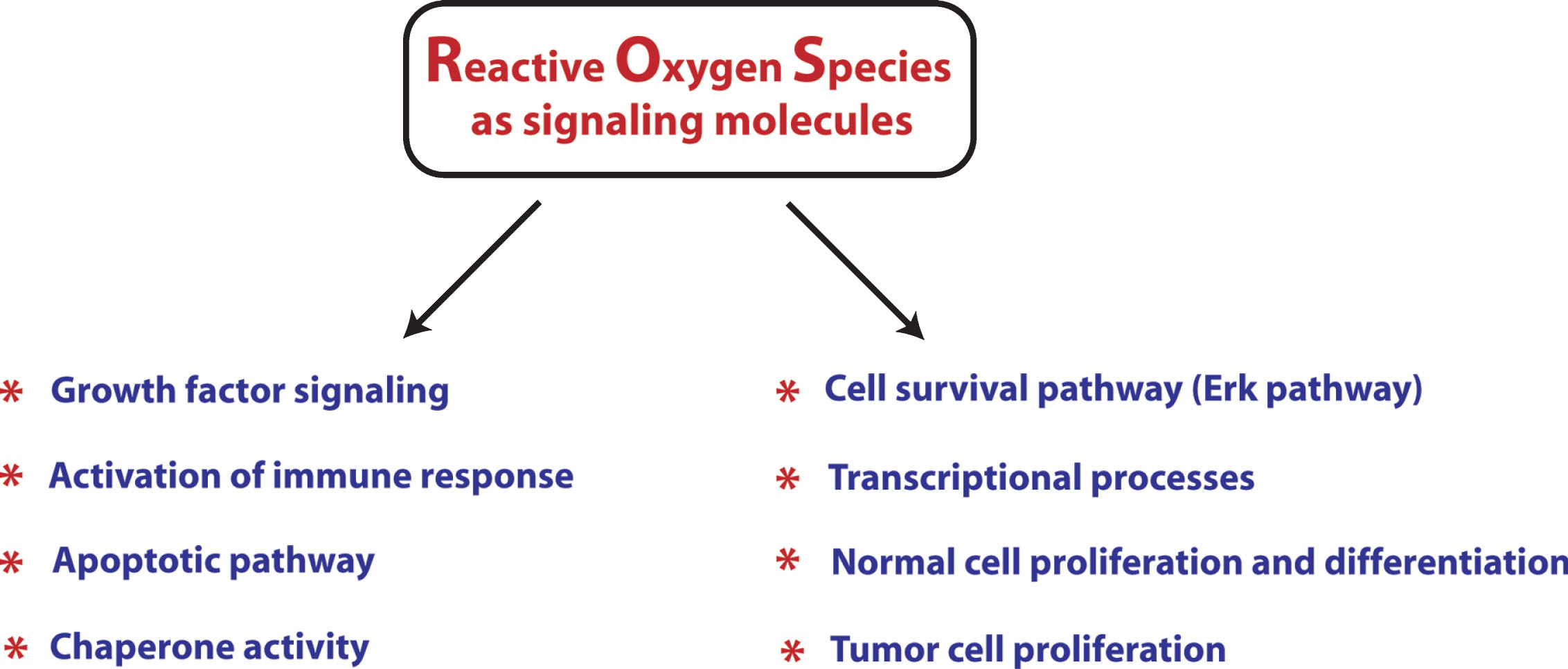 A brief overview of involvement of reactive oxygen species in multiple physiological and pathological functions as signaling molecules. Recent findings have placed ROS as very critical signaling factors which are involved in regulating not only pathological functions but also in a host of functions necessary for normal cellular function. Therefore, a very careful attention is needed before considering antioxidants as therapeutic options for Huntington’s disease.