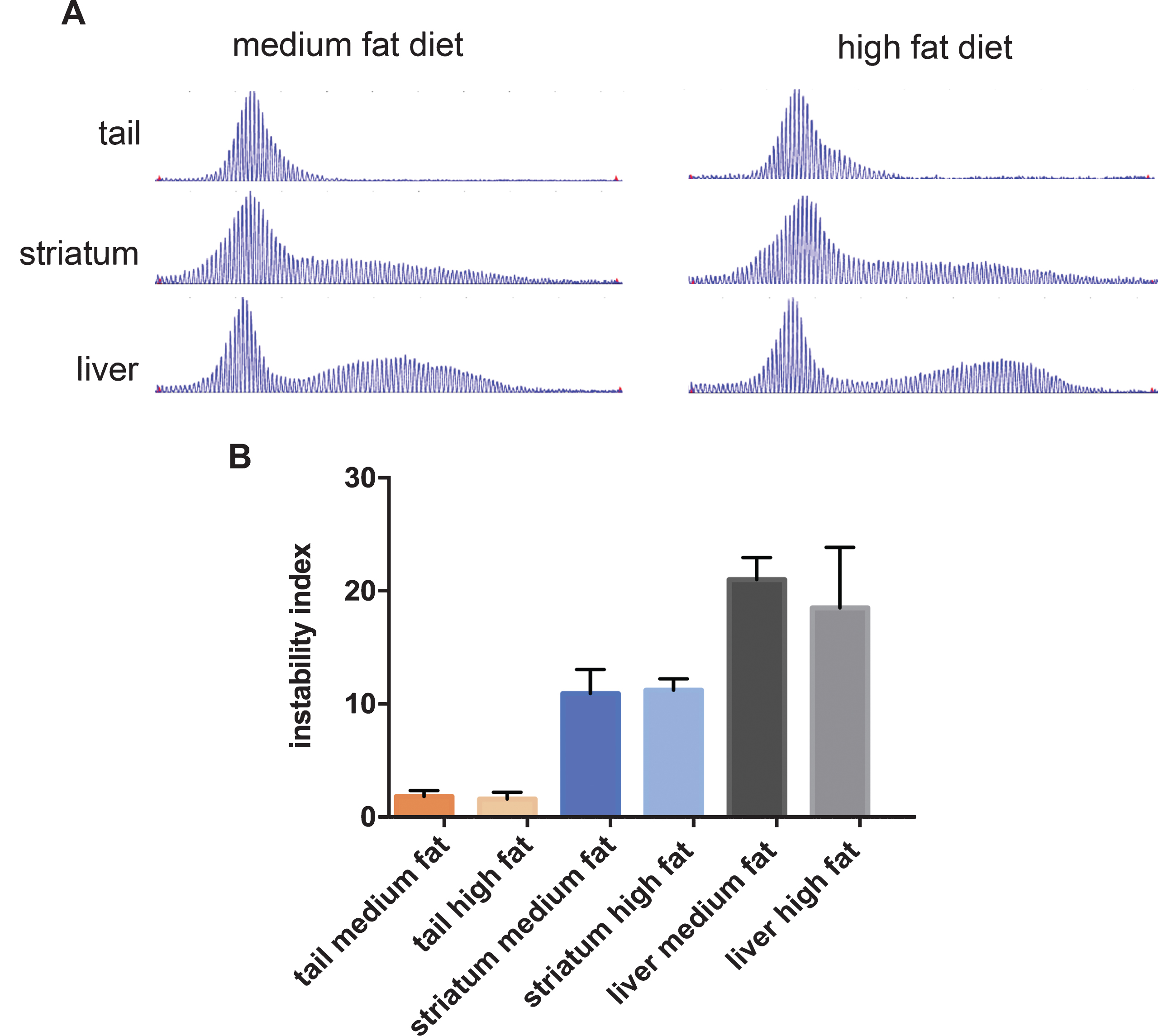 The effect of diet on CAG instability in tissues from HttQ111 mice. A. Representative GeneMapper traces of HttQ111 CAG repeats from tail, striatum and liver of an HttQ111/+ mouse on a medium fat or high fat diet at 10 months of age. B. Instability indices were calculated from the GeneMapper traces from tissues of 5 medium fat-fed HttQ111/+ mice (CAGs: 127, 127, 129, 131, 133) and 4 high fat-fed HttQ111/+ mice (CAGs: 129, 129, 130, 132). Bars represent mean+/-SD.