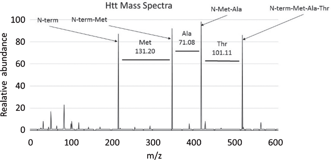 Determining peptide composition using mass references values. This graph shows an example mass spectrum with intensity graphed on the y-axis and Mass/Charge (m/z) ratio graphed on the x-axis. In this case the first 3 amino acids of the HTT protein, methionine, alanine, and threonine are deducted from the graph by determining the change in mass between each peak and referring to Table 1. Charted here is the first three amino acids of the HTT peptide (MATLEKLMKA . . .).