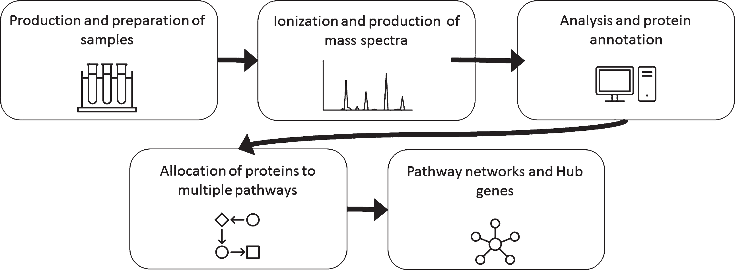General workflow for mass spectrometry analysis of proteins.