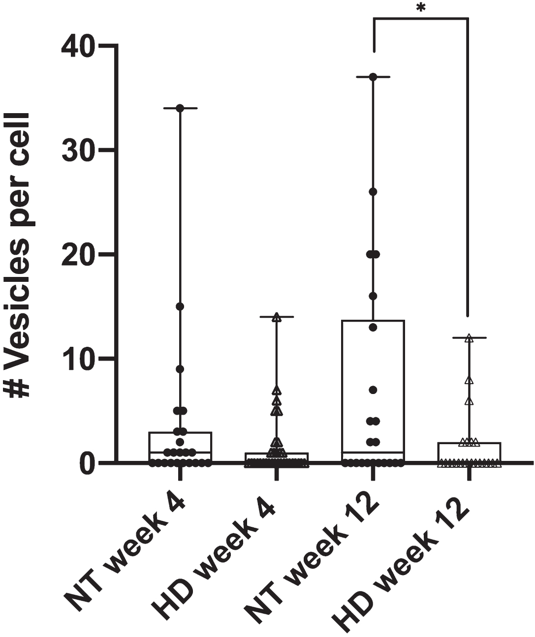 R6/2 HD astrocytes form significantly less phagocytic vesicles per cell in astrocytes derived from week 12 mice when compared to NT astrocytes (p = 0.03 via unpaired 2 tailed t test). NT astrocytes averaged 6.9 vesicles formed per cell (n = 22), vs. 1.6 vesicles per cell observed in R6/2 astrocytes (n = 21). No significant difference was observed in astrocytes derived from week 4 mice (p = 0.16 via unpaired 2 tailed t test) at 3.5 vesicles per cell for NT astrocytes (n = 23) and 1.4 vesicles per cell for R6/2 astrocytes (n = 32). * refers to statistically significant p values where p ≤0.05.