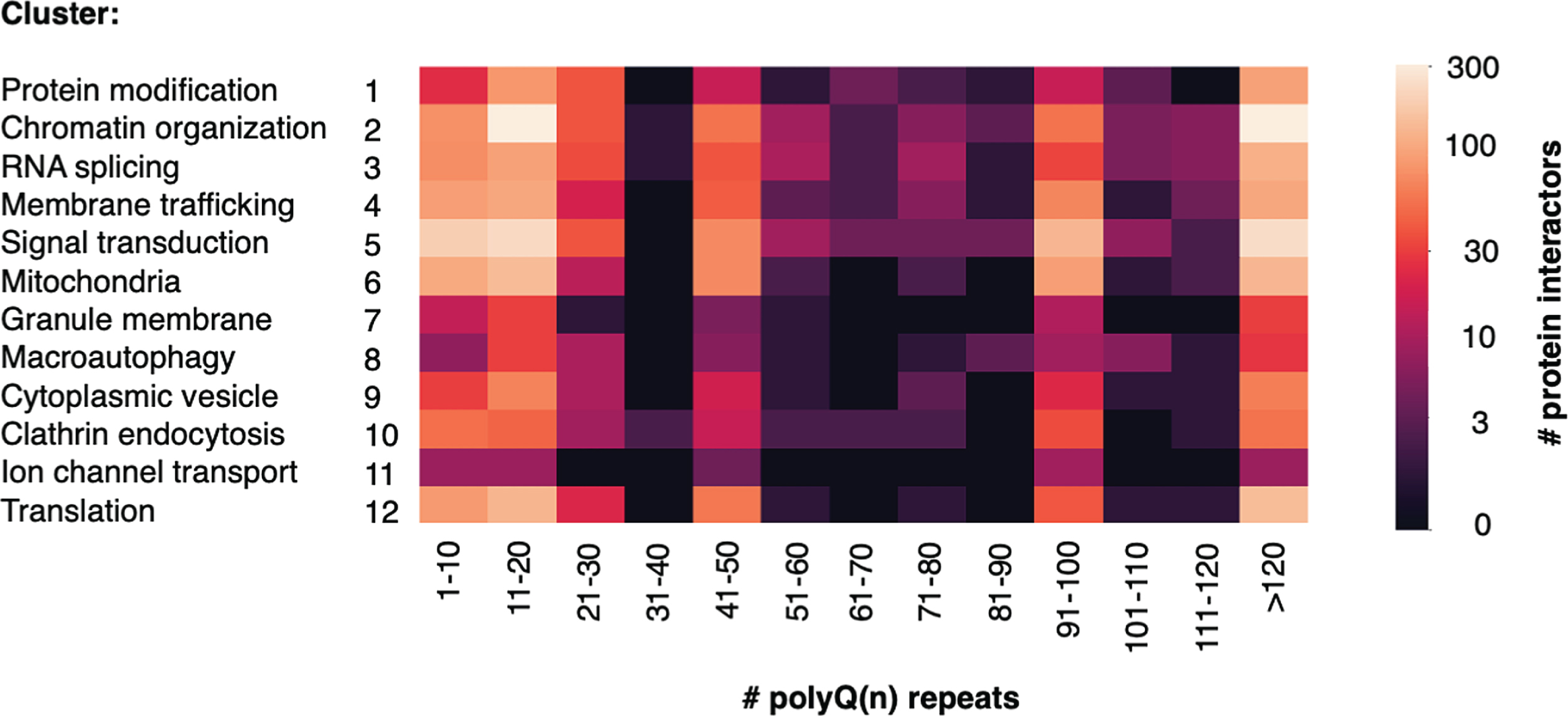 Number of Htt interactors identified by Htt polyQ(n) length within each cluster. The number of polyQ(n) expansions in Htt used for identification of Htt interactors within each cluster category is indicated. Low to high numbers of interacting proteins identified are color-coded (see key).