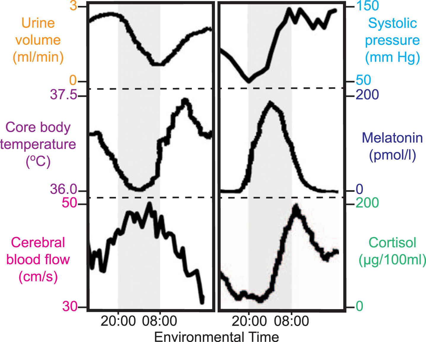 The human circadian program. Schematic representation of circadian variations of physiological and endocrine status recorded in human volunteers subject to a constant routine protocol. Grey shading represents expected sleep interval, which was denied by constant routine protocol. Based on [2].