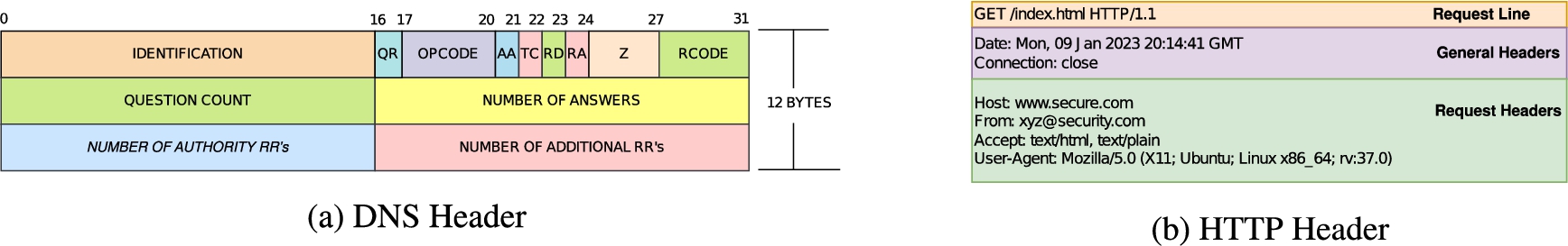 Binary and text-based protocol headers.