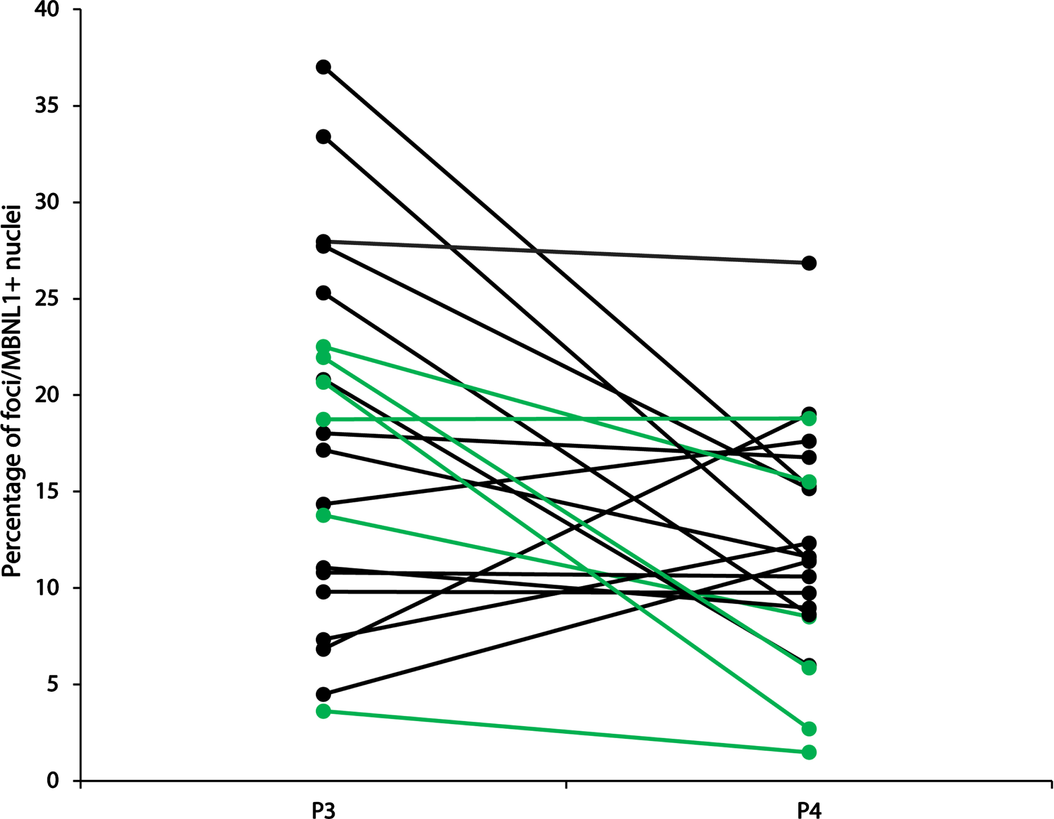 Percentage of foci/MBNL+ nuclei at P3 and P4. In green: participants who participated in a strength training program between P3 and P4. In black: all other participants.