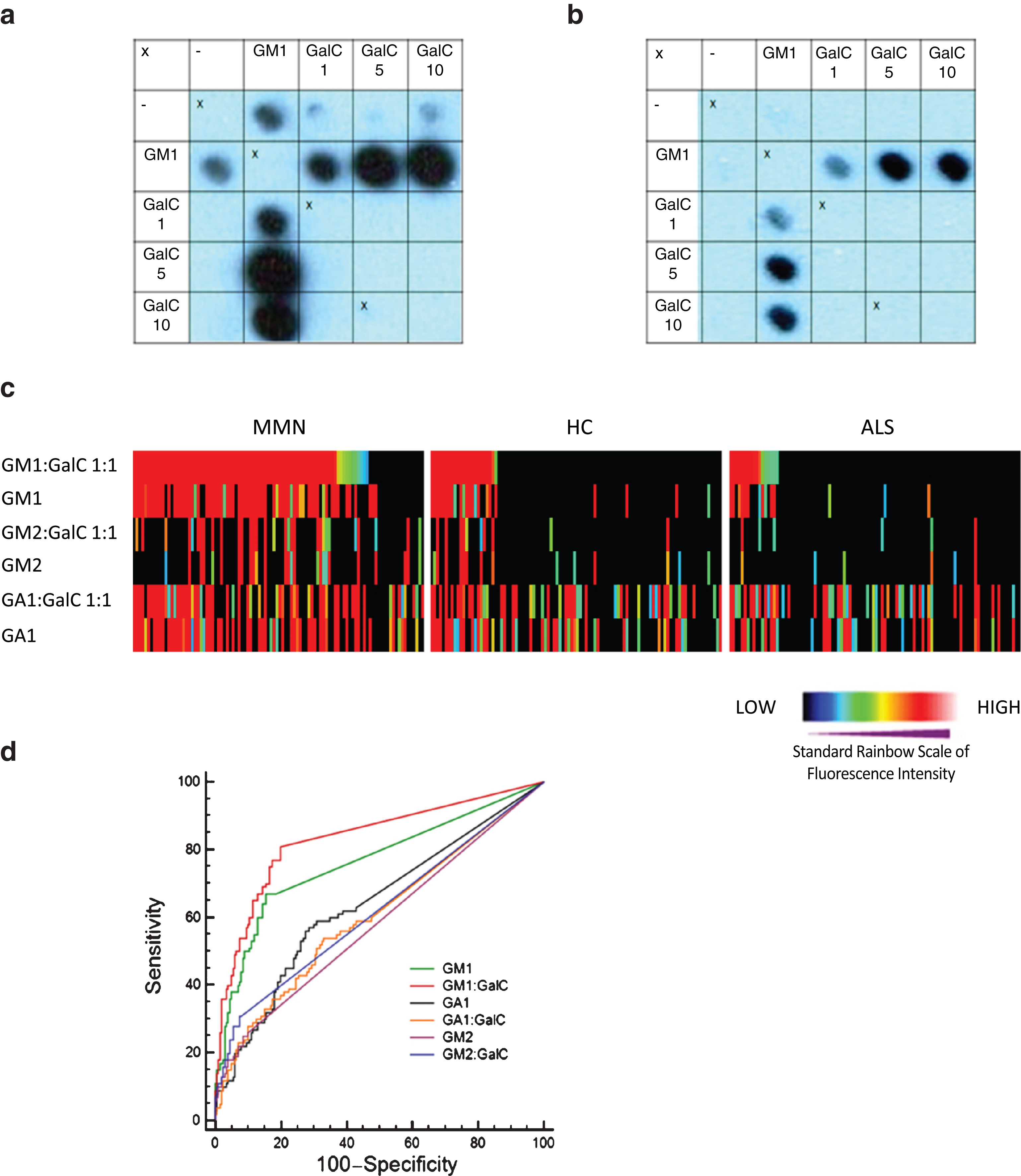 Panel a. Glycoarray grids illustrating that antibody binding to GM1 is enhanced by the presence of GalC. Panel b. Samples sero-negative for GM1 alone are antibody positive at increasing ratios of GM1:GalC. Panel c. Heat map illustration of all 300 serum samples tested by glycoarray. Each sample is colour coded according to the intensity of binding to each target (red represents the strongest down through the rainbow scale to blue which is weakest and black equals no binding), and data has been sorted by decreasing GM1:GalC intensity in the 3 clinical categories (left to right, top row). Each sample in subsequent vertical column is locked to the intensity order assigned by the top row. Visual inspection of the heat map clearly indicates the positive bias towards GM1:GalC and GM1 binding in the MMN population compared with HC and ALS. Panel d. ROC curve plotting sensitivity against 100-specificity of selective lipid markers tested on glycoarray. For each lipid target, an area under the curve (AUC) is calculated, in which the best lipid marker will have an AUC closest to 1. In this example GM1:GalC 1:1 (AUC = 0.834) is determined to be the best discriminator of MMN and control serum samples, and was found to be statistically significant from the second most efficient lipid, GM1 alone (AUC = 0.764, P = 0.0051). (Colours are visible in the online version of the article; http://dx.doi.org/10.3233/JND-150080)