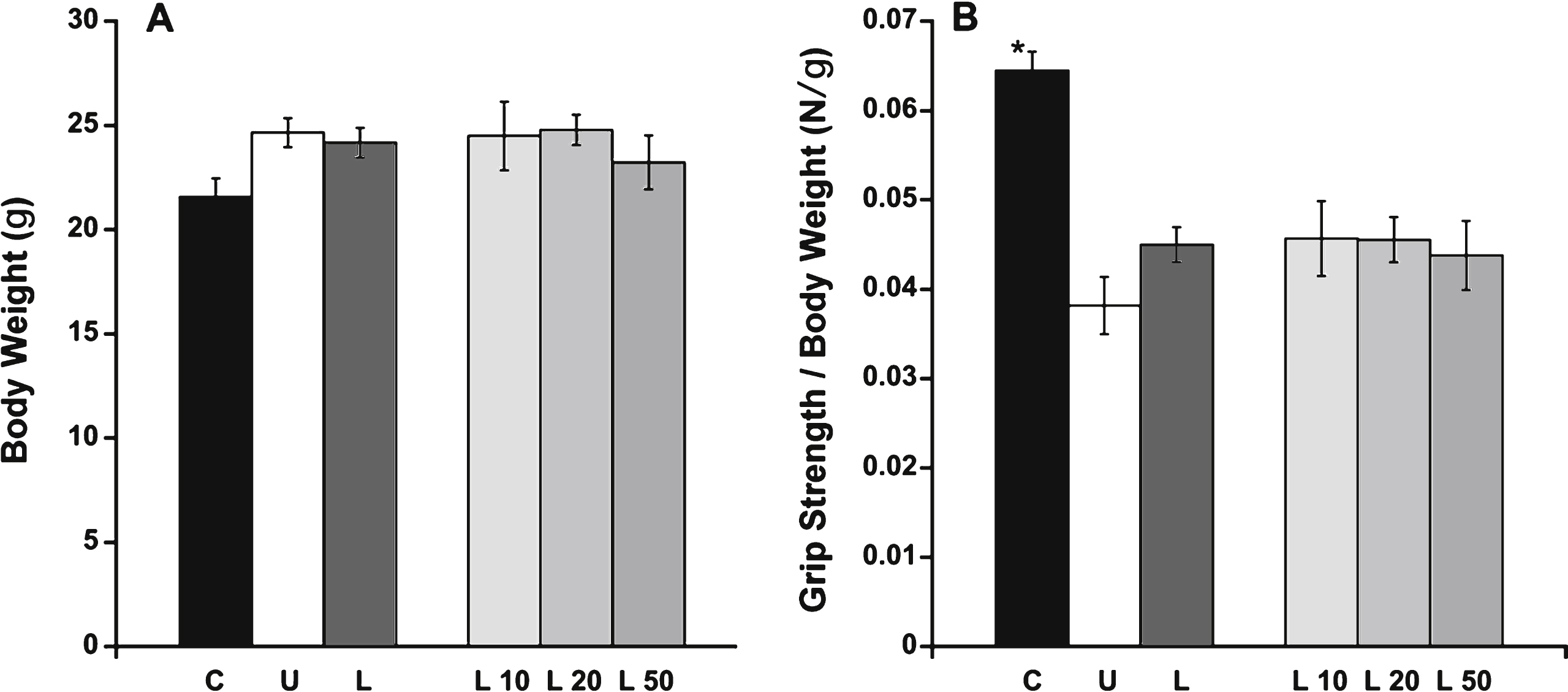 Body weight and grip strength analysis. A) Body weight was consistent among all treatment groups. B) Forelimb normalized grip strength was significantly higher in C57BL/10 mice compared to untreated het mice. C: C57BL/10 wild-type control mice (n = 10); U: untreated het mice (n = 10); L: all 3 groups of lisinopril-treated het mice (n = 18); and L10, L20, L50 = groups of het mice treated with lisinopril at 3 different (10, 20, and 50 mg/kg × day) dosages (n = 6 per group). Data are shown as means  ±  SEM.  *ANOVA followed by a Dunnett post-hoc test indicated a significantly higher value compared to the untreated het group, P≤0.0001.