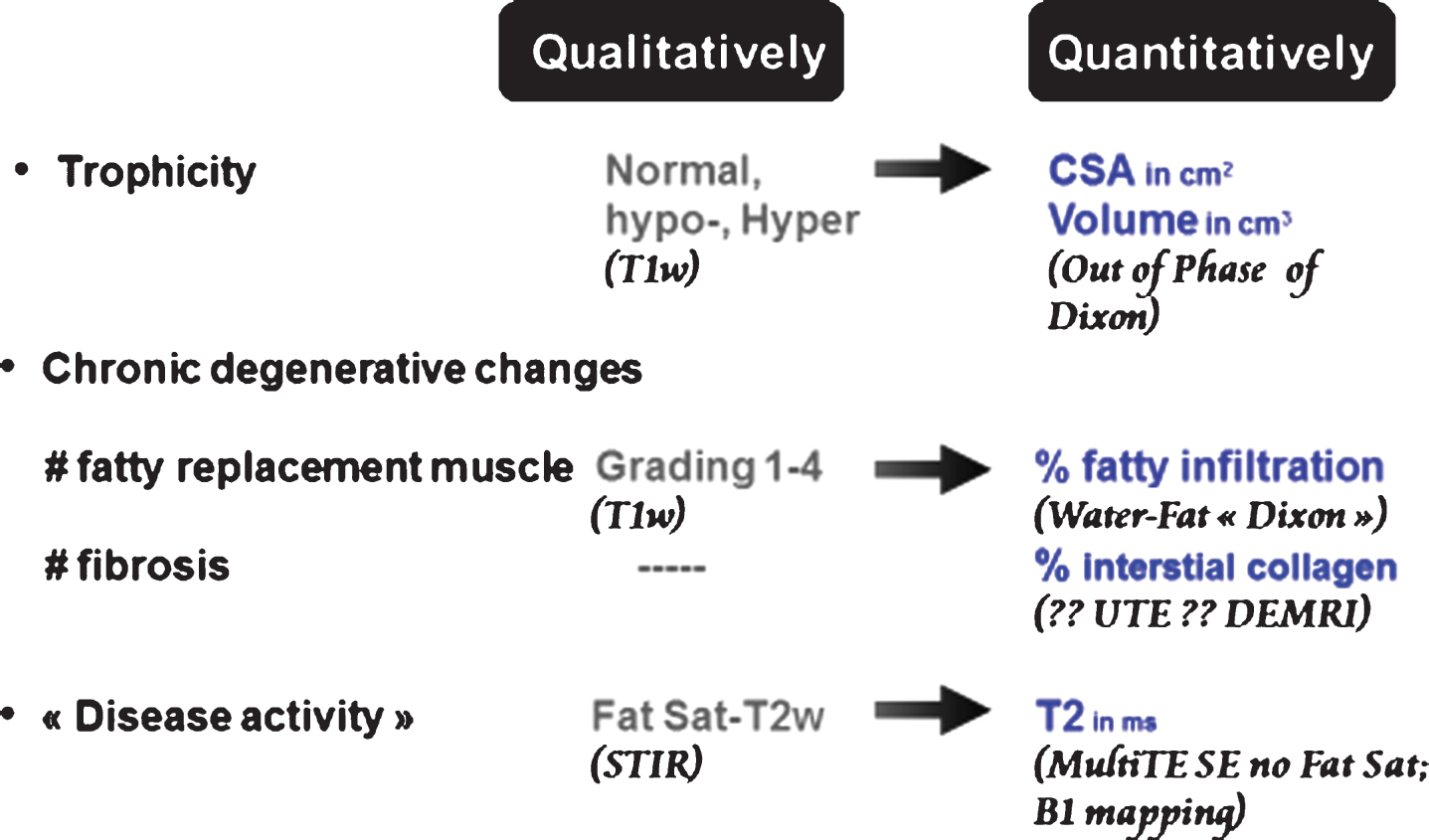 Skeletal muscle tissue characterization by NMR imaging. Comparison of qualitative and quantitative approaches. CSA: cross-sectional area; UTE: ultra-short echo time; DEMRI: delayed enhancement MRI; Fat Sat: fat saturation.