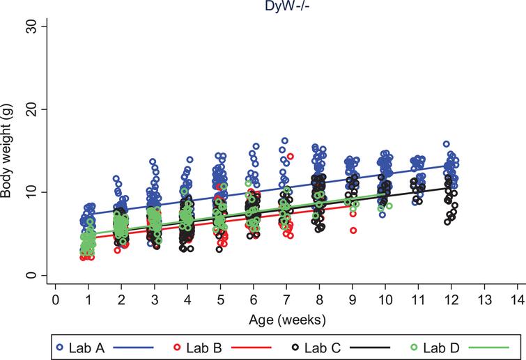 DyW body weight over time by laboratory. The change in body weight of DyW mice over time is shown for each of the four laboratories. Individual body weights are represented with open circles and regression lines from the mixed effects linear model are represented by solid lines.