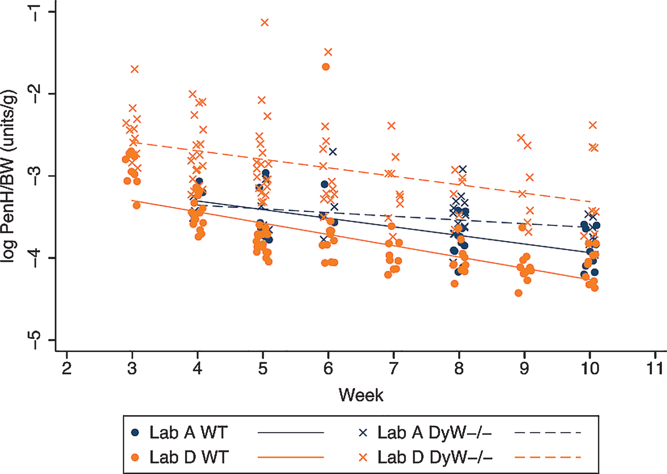 Body weight normalized PenH values over time in both DyW and WT mice. The change in logarithm transformed body weight normalized PenH values (PenH/BW) over time is shown for both WT and DyW mice from the two laboratories reporting results. Individual log PenH/BW in WT mice are represented with circles and regression lines from the mixed effects linear model are represented by solid lines. Individual log PenH/BW in DyW mice are represented with X’s and regression lines from the mixed effects linear model are represented by dashed lines.