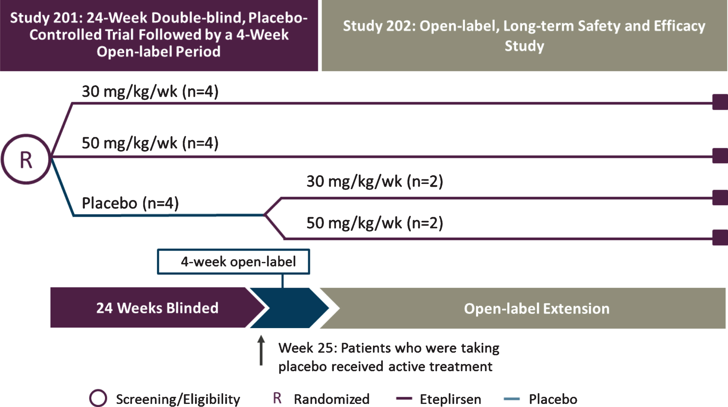 Study design for eteplirsen studies 201/202. Twelve patients with DMD were randomly assigned to 1 of 3 cohorts receiving weekly infusions in a 24-week, double-blind, placebo-controlled study: eteplirsen 30 mg/kg or 50 mg/kg (purple lines), or placebo (blue line). At week 25, eteplirsen-treated patients continued the same weekly dose as open-label, while placebo patients were randomized to open-label treatment with eteplirsen 30 mg/kg or 50 mg/kg weekly IV (study 202). Pulmonary function tests were assessed in compliance with American Thoracic Society guidelines at least every 24 weeks. The 5-year data represent time on drug, beginning at week 0 for patients in treatment arms and at week 24 for those in the placebo arm of study 201. DMD, Duchenne muscular dystrophy; IV, intravenous.