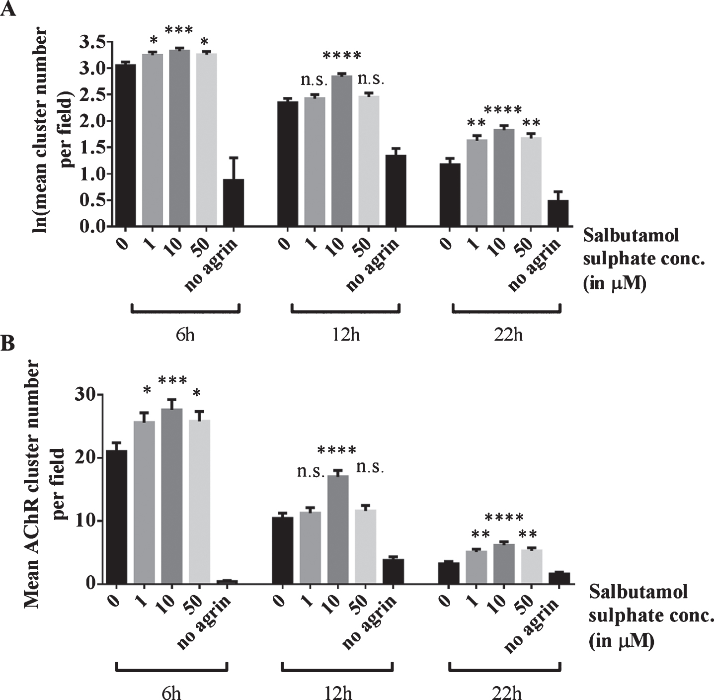 Effects of salbutamol on AChR clusters after agrin wash-off. (A) Clusters were induced by incubation of myotubes with 1:500 soluble short rat agrin. After agrin was removed, AChR clusters were left to disperse for 6, 12 or 22 h in the absence or presence of 1, 10 or 50 μM salbutamol sulphate. Significantly more clusters remained in salbutamol treated cells after a dispersal time of 6 h (difference = 0.2, SE = 0.07, p = 0.027, difference = 0.27, SE = 0.07, p = 0.0006, and difference = 0.2, SE = 0.07, p = 0.02, respectively; no agrin control: difference = 3.92, SE = 0.43, p < 0.00005), 12 h (difference = 0.08, SE = 0.11, p > 0.99, difference = 0.49, SE = 0.1, p < 0.00005, and difference = 0.11, SE = 0.11, p = 0.98, respectively; no agrin control: difference = 1.01, SE = 0.16, p < 0.00005) and 22 h (difference = 0.08, SE = 0.11, p > 0.99, difference = 0.49, SE = 0.1, p < 0.00005, and difference = 0.11, SE = 0.11, p = 0.98, respectively; no agrin control: difference = 1.01, SE = 0.16, p < 0.00005). (B) Data shown in A back-transformed into cluster numbers. N = 3 (6 and 22 h), N = 2 (12 h). Error bars indicate the standard error of the mean. n.s.p > 0.05, *p≤0.05, **p≤0.01, ***p≤0.001, ****p≤0.0001.