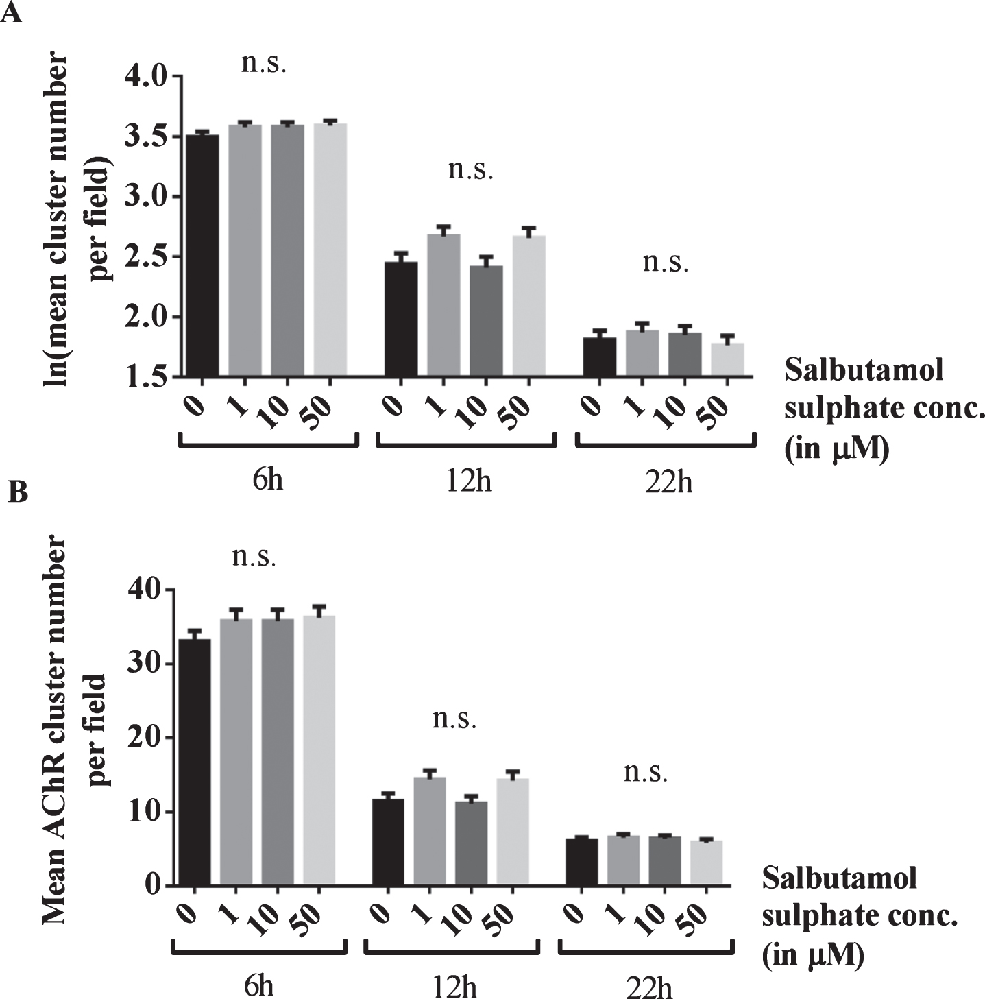 Blocking of the effects of salbutamol on AChR clusters after agrin wash-off by inhibition of ADRB2 s. (A) C2C12 WT myotubes were incubated with short rat agrin overnight. After agrin wash-off, AChR clusters were left for dispersal for 6, 12 or 22 h, during which myotubes were incubated with a mix of 0, 1, 10 or 50 μM salbutamol sulphate and 1 μM ICI-118,551. The ADRB2 inhibitor abolished the stabilising effect of salbutamol on AChR clusters and no difference occurred between salbutamol-treated and untreated cells (6h: difference = 0.08, SE = 0.06, p = 0.47, difference = 0.08, SE = 0.06, p = 0.47, and difference = 0.09, SE = 0.06, p = 0.3, 12h: difference = 0.23, SE = 0.1, p = 0.06, difference = 0.03, SE = 0.1, p > 0.99, and difference = 0.22, SE = 0.1, p = 0.08, and 22h: difference = 0.06, SE = 0.11, p > 0.99, difference = 0.04, SE = 0.11, p > 0.99, and difference = 0.04, SE = 0.11, p > 0.99) (B) Data shown in A back-transformed into cluster numbers. N = 3 (6 h), N = 2 (12 h and 22 h). Error bars indicate the standard error of the mean. n.s.p > 0.05.