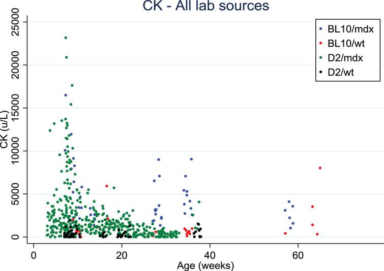 Creatine kinase values distribution over age in Bl10/mdx (blue dots), Bl10/wt (red dots), D2/mdx (green dots), D2/wt (black dots). Data were collected from 4 labs.