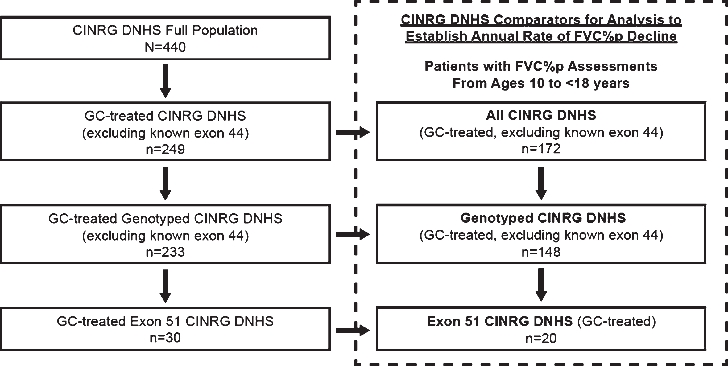 Derivation of CINRG DNHS cohorts for comparison of eteplirsen studies. The CINRG DNHS database contains data from 440 patients with DMD across all ages. The All CINRG DNHS cohort (n = 172) comprised glucocorticoid-treated patients with FVC% p assessments obtained between the ages of 10 and 18 years, and excluded any known exon 44 skip–amenable patients. The Genotyped CINRG DNHS cohort (n = 148) comprised glucocorticoid-treated, genetically confirmed patients with FVC% p assessments between the ages of 10 and 18 years and excluded exon 44 skip-amenable patients. The Exon 51 CINRG DNHS cohort (n = 20) comprised glucocorticoid-treated patients between the ages of 10 and 18 years with mutations amenable to exon 51 skipping. CINRG DNHS, Cooperative International Neuromuscular Research Group Duchenne Natural History Study; FVC% p, percent predicted forced vital capacity; GC, glucocorticoid. Dashed box represents pre-specified comparator.
