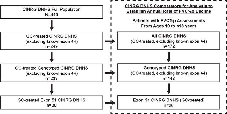 Derivation of CINRG DNHS cohorts for comparison of eteplirsen studies. The CINRG DNHS database contains data from 440 patients with DMD across all ages. The All CINRG DNHS cohort (n = 172) comprised glucocorticoid-treated patients with FVC% p assessments obtained between the ages of 10 and 18 years, and excluded any known exon 44 skip–amenable patients. The Genotyped CINRG DNHS cohort (n = 148) comprised glucocorticoid-treated, genetically confirmed patients with FVC% p assessments between the ages of 10 and 18 years and excluded exon 44 skip-amenable patients. The Exon 51 CINRG DNHS cohort (n = 20) comprised glucocorticoid-treated patients between the ages of 10 and 18 years with mutations amenable to exon 51 skipping. CINRG DNHS, Cooperative International Neuromuscular Research Group Duchenne Natural History Study; FVC% p, percent predicted forced vital capacity; GC, glucocorticoid. Dashed box represents pre-specified comparator.