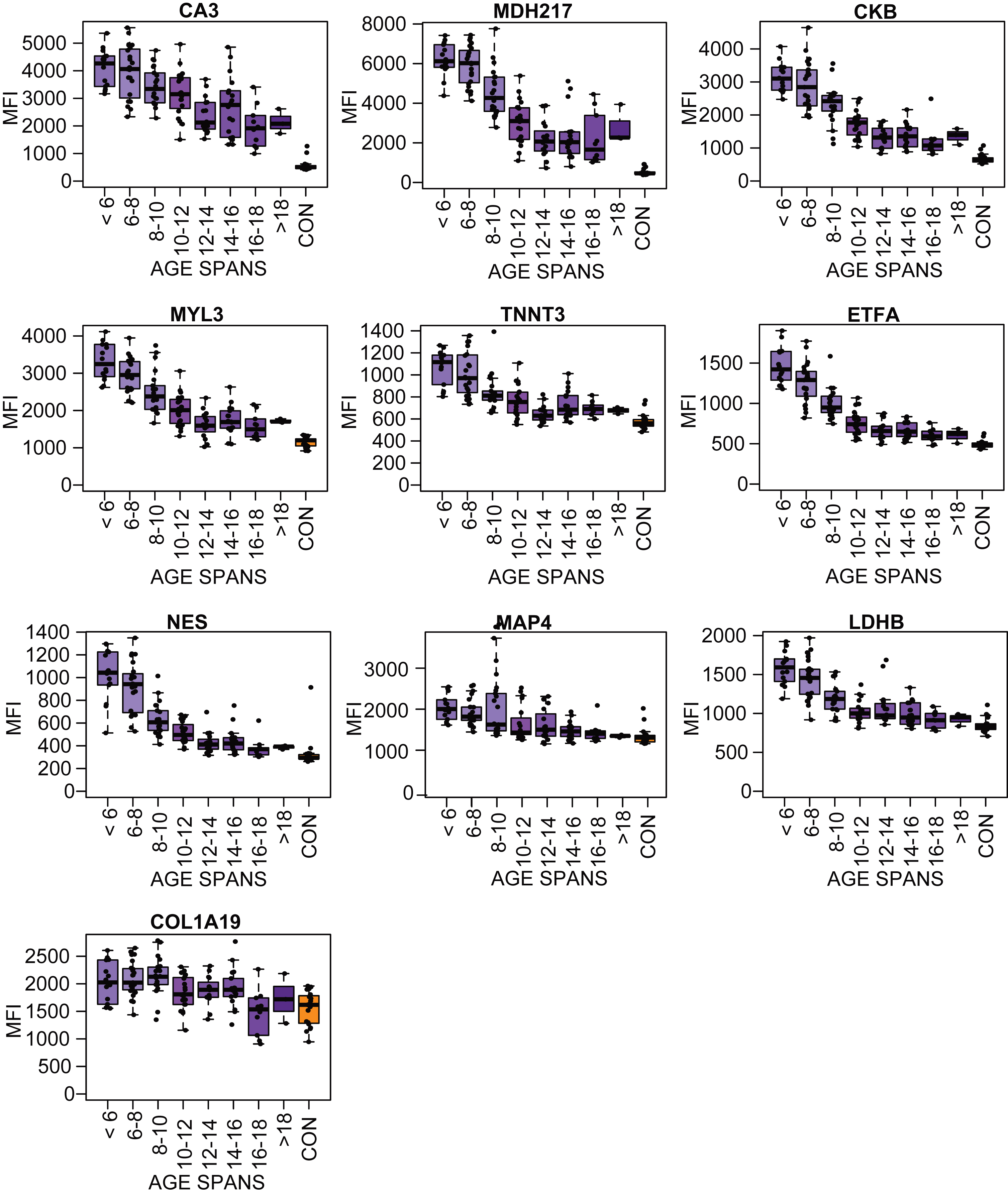 Boxplots of the protein profile for eight different age subgroups (purple boxes, N: 13–23) and the control samples (orange boxes) in the LUMC serum cohort.
