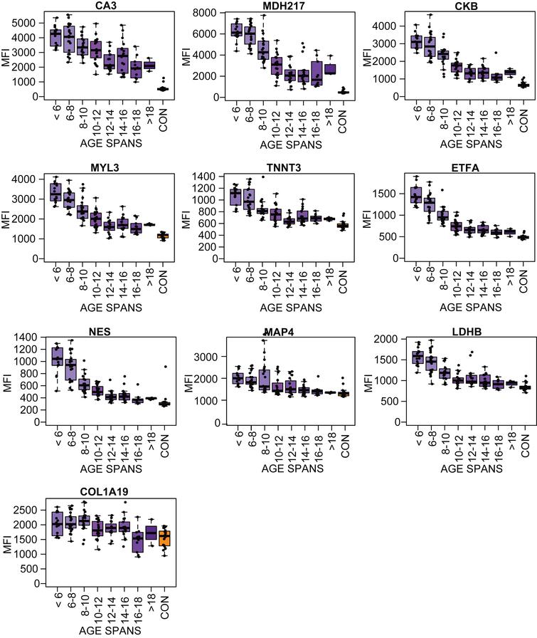Boxplots of the protein profile for eight different age subgroups (purple boxes, N: 13–23) and the control samples (orange boxes) in the LUMC serum cohort.