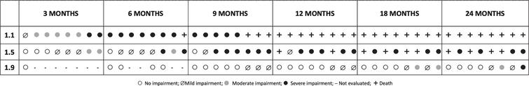 Change in levels of impairment in the study cohort subdivided by SMA 1 decimal classification and visits: Each symbol corresponds to a single patient at each given age (open dot ○: no impairment; barred dot ø: mild impairment; grey dot •: moderate impairment; full dot •: severe impairment; the symbol –was used when an evaluation was not performed).